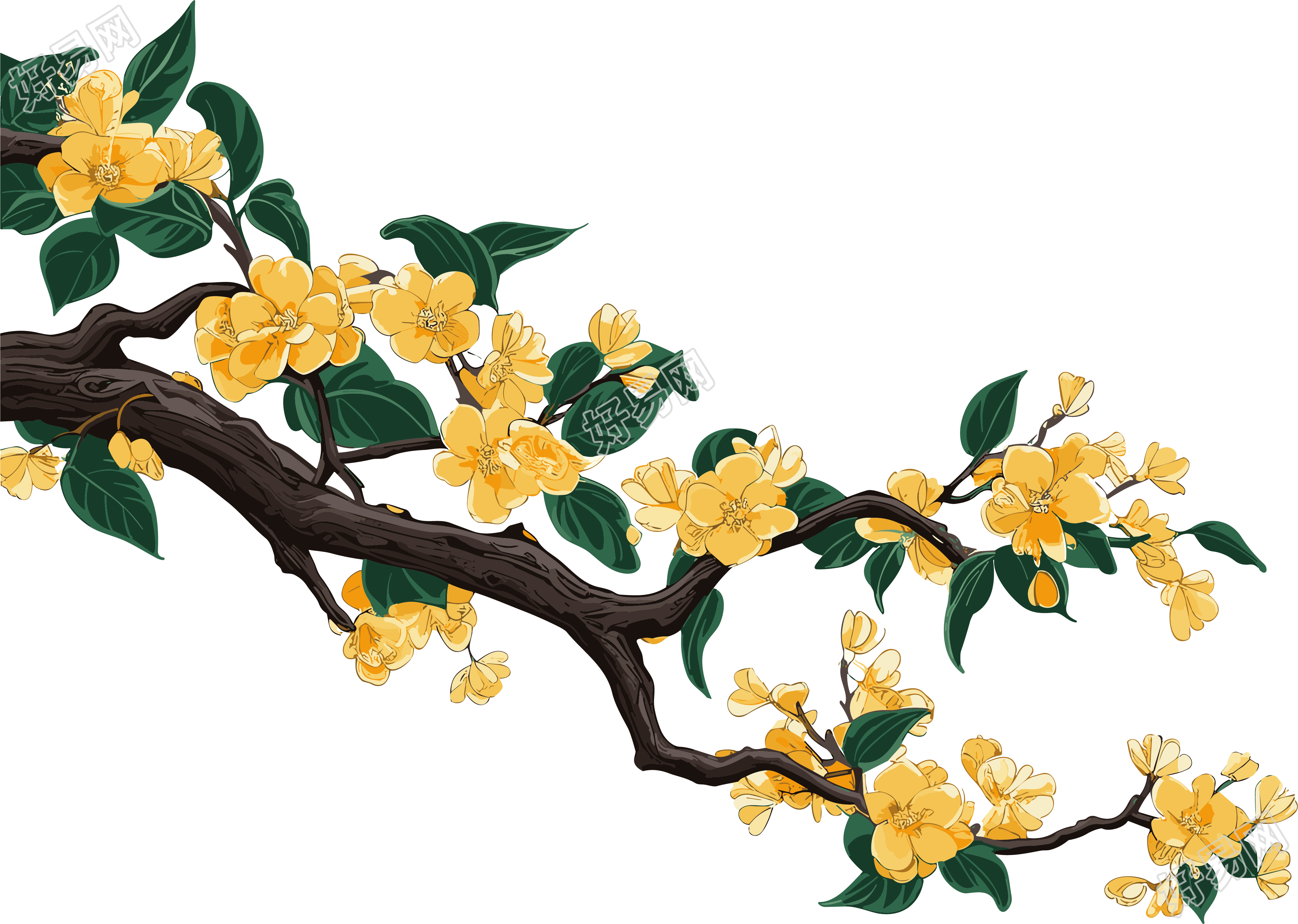 金色琥珀树枝花叶PNG图形素材