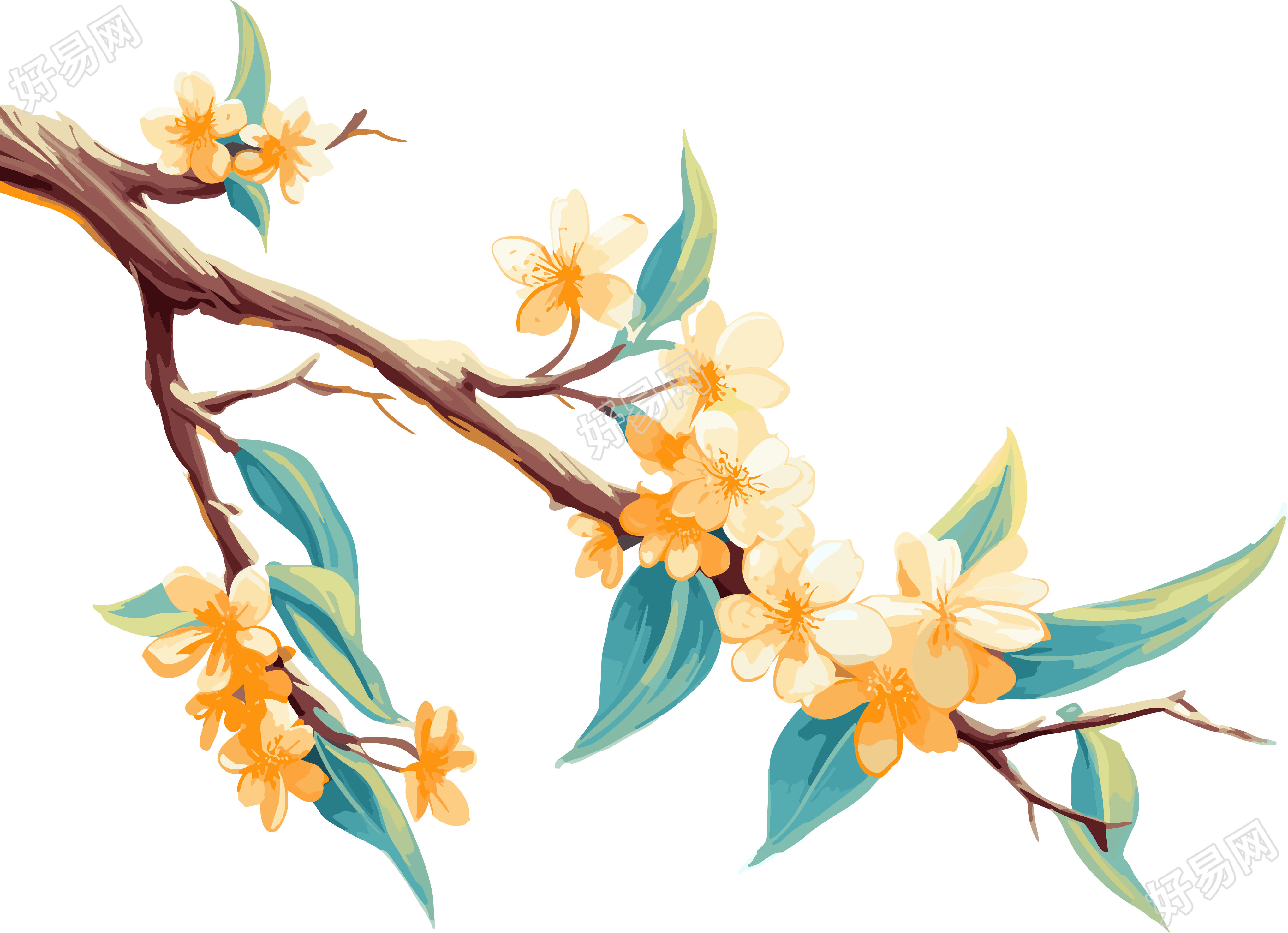 花枝精确绘画插画设计素材
