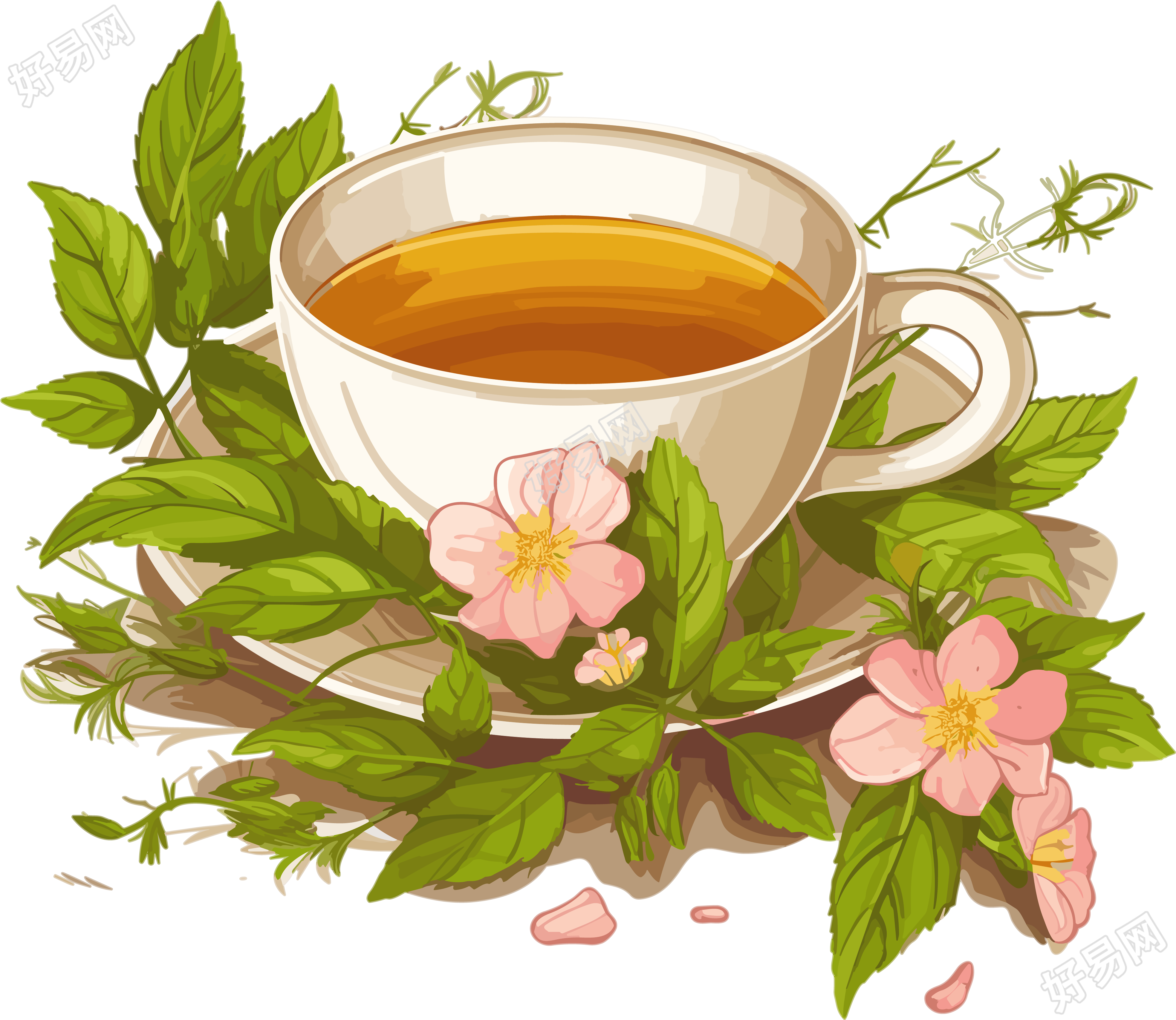 花叶纹理草本茶插画设计高清透明背景素材