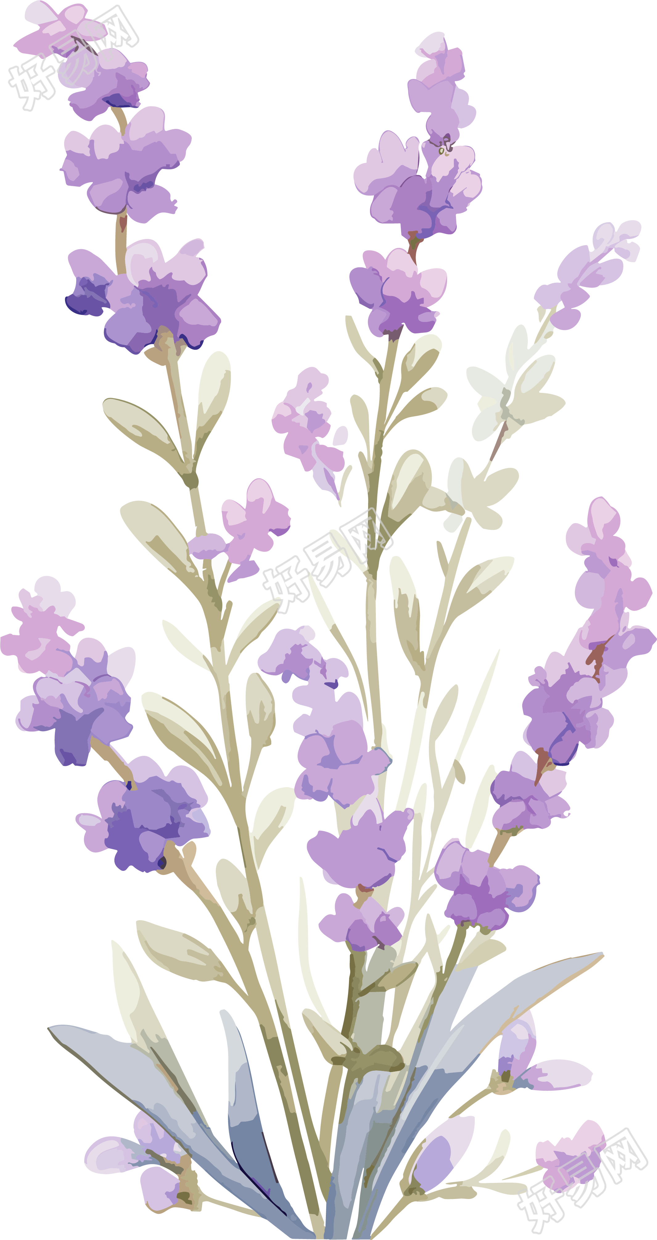 低分辨率薰衣草花PNG素材