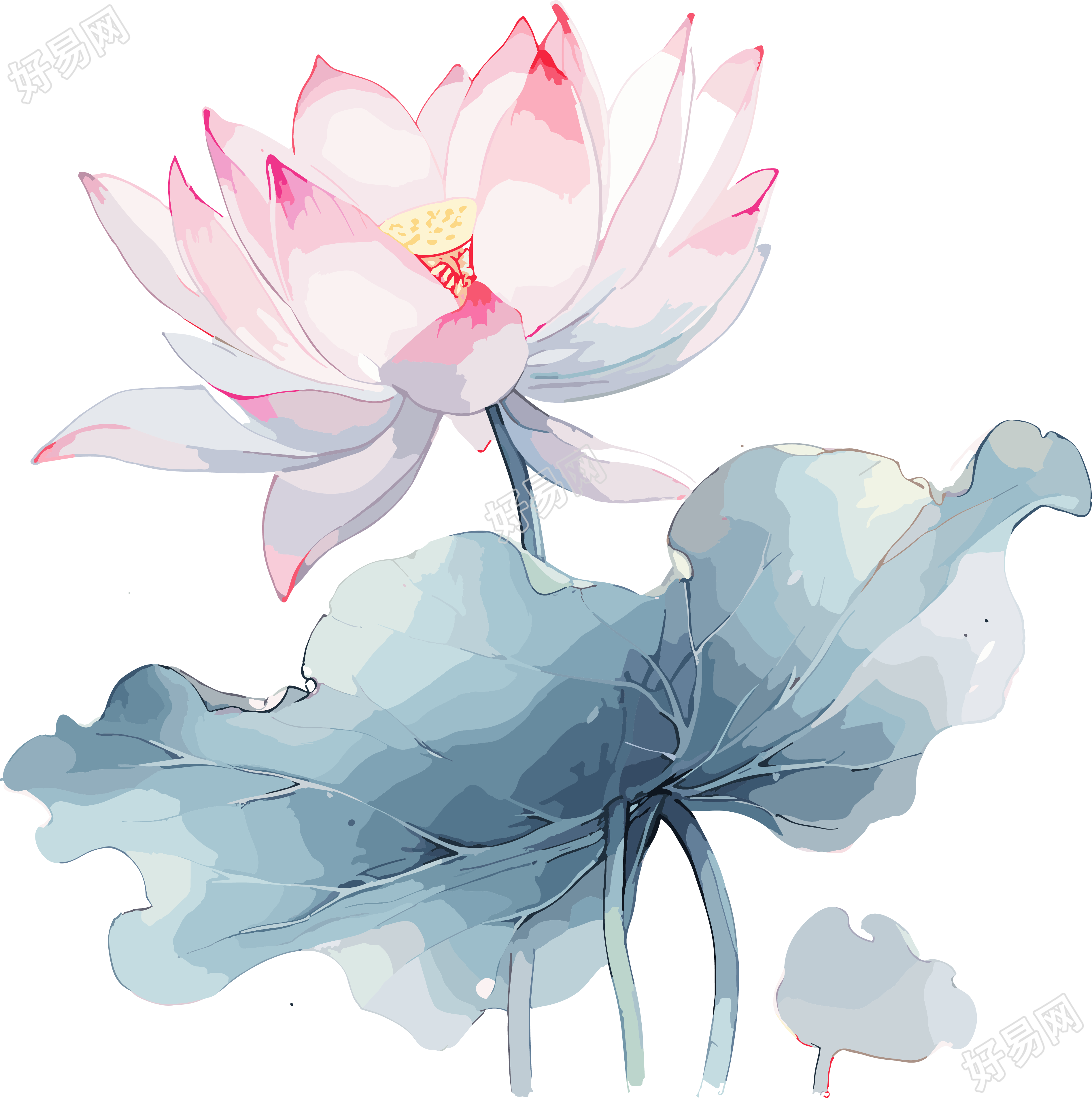 粉蓝双色莲花画作素材