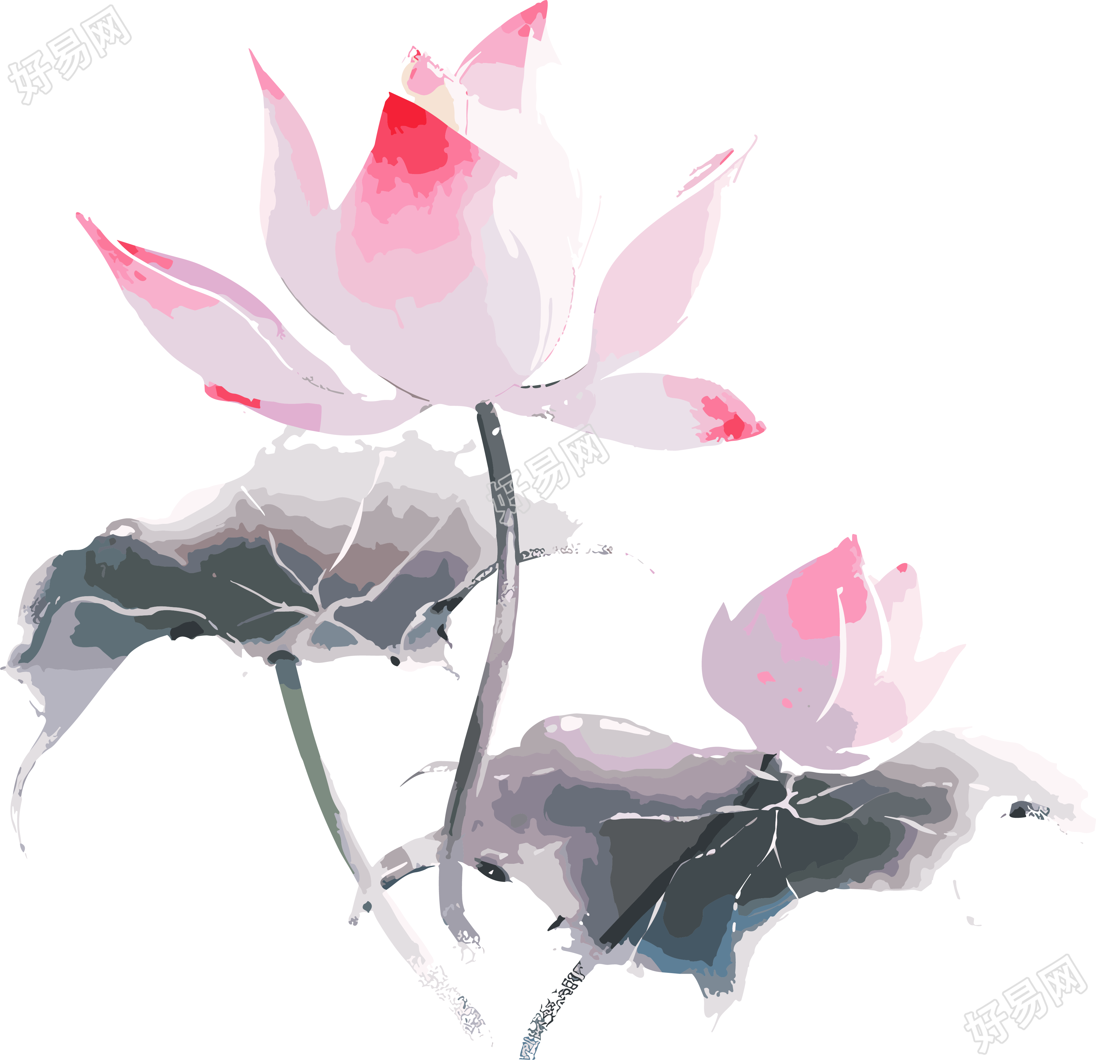 粉蓝芙蓉水墨画元素