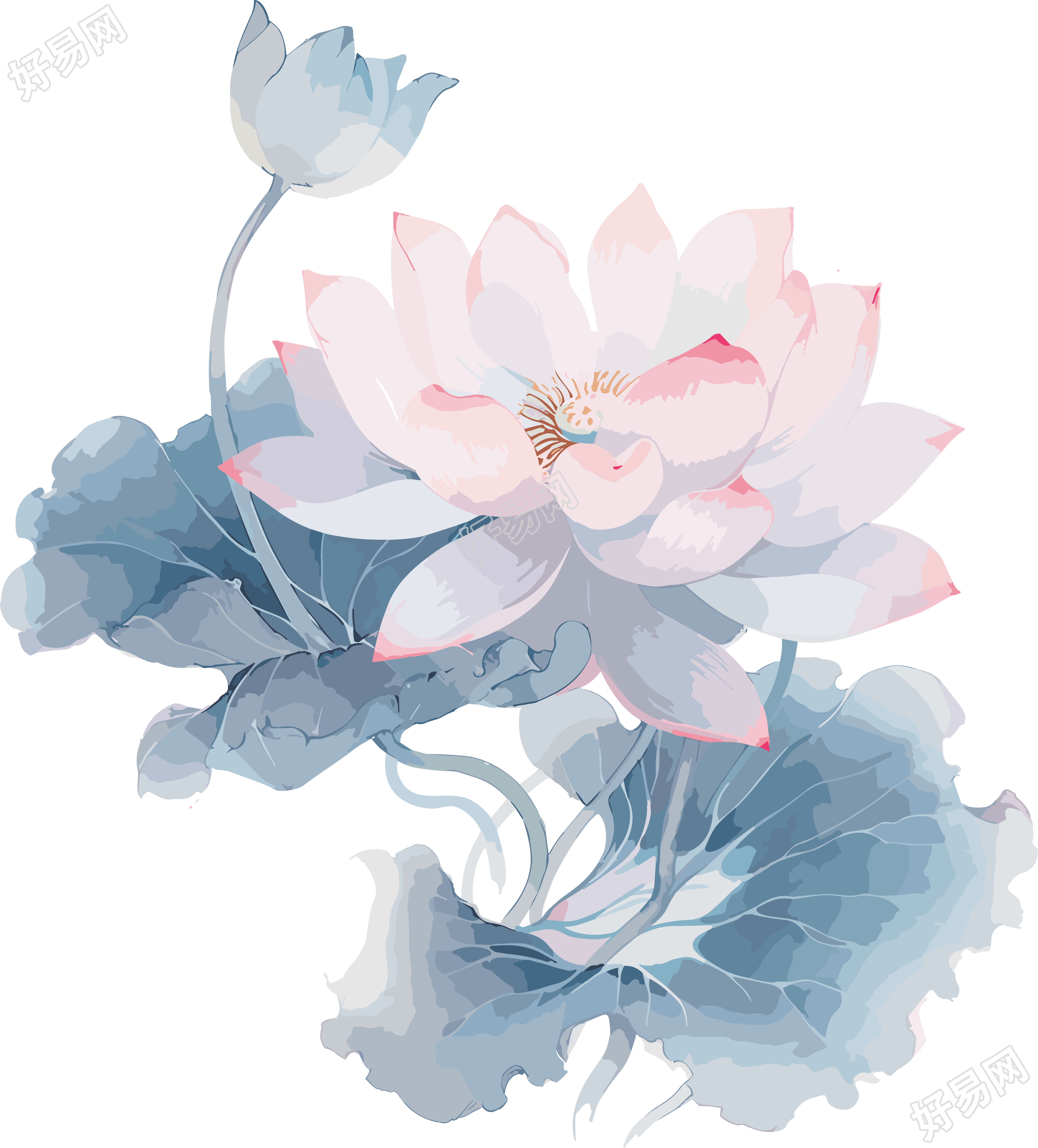 中国古风粉蓝荷花水墨画插图
