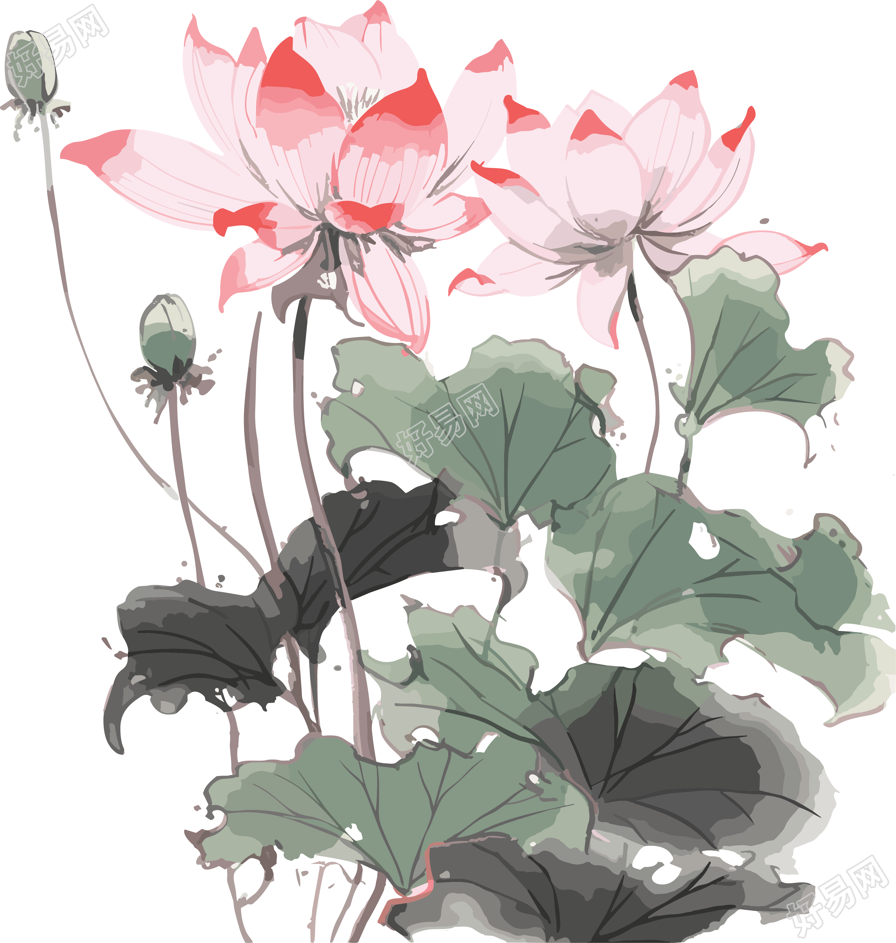 商周风格莲花画插画