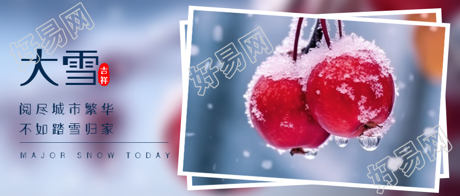 大雪季节的美丽红浆果景色