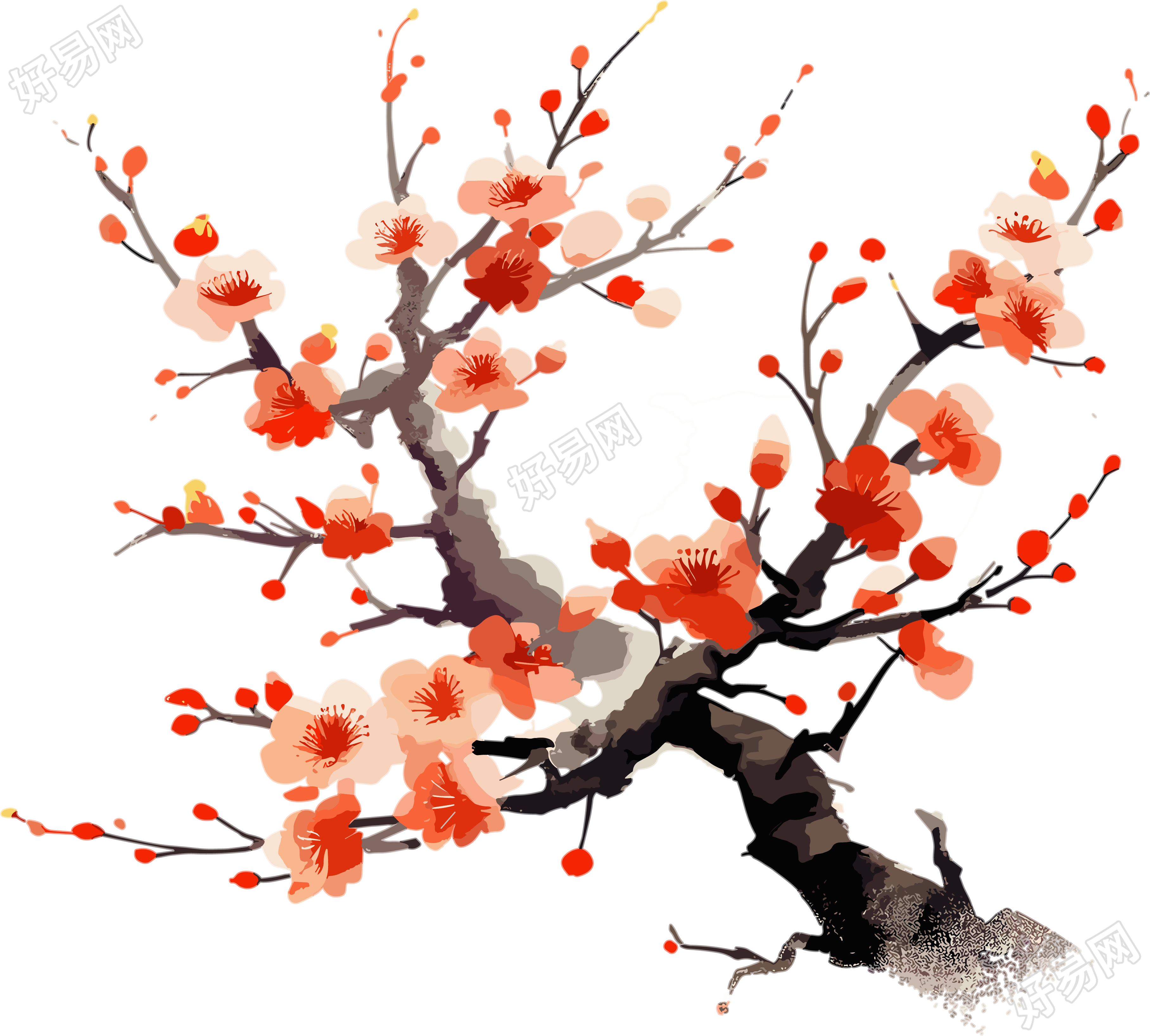 橙色梅花平面插画