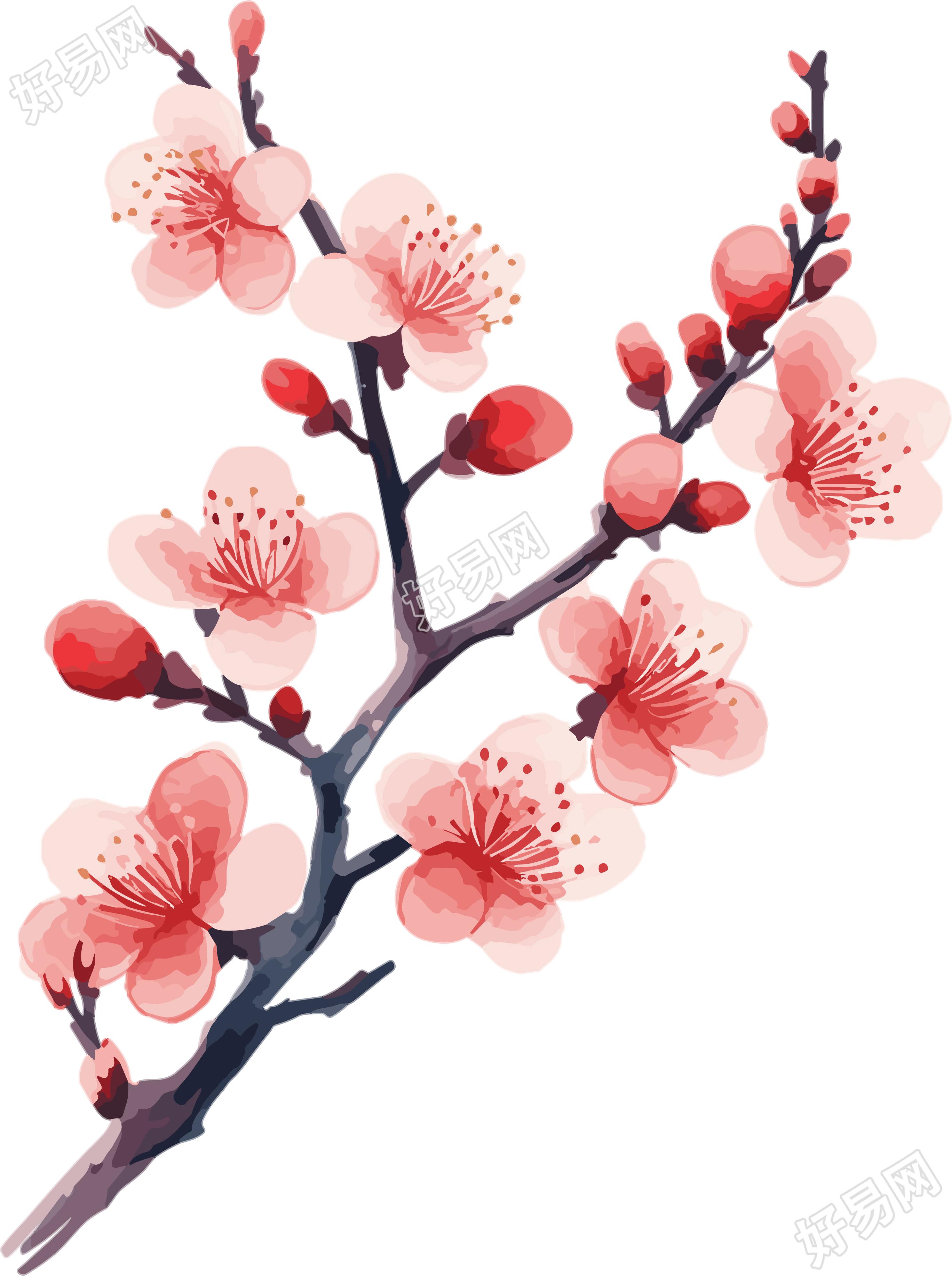 可商用冬天梅花扁平插画设计
