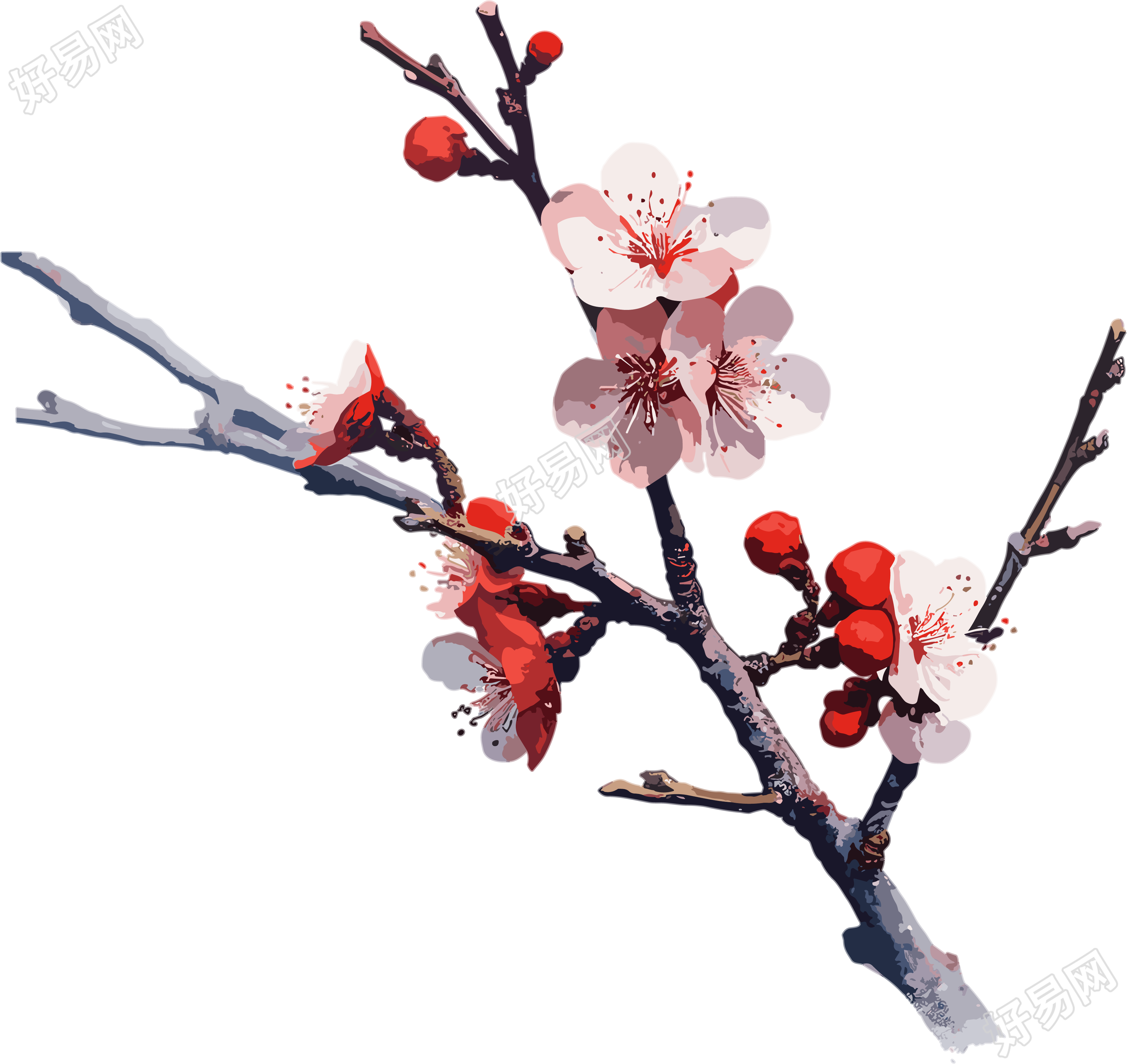 冬季梅花平面插画
