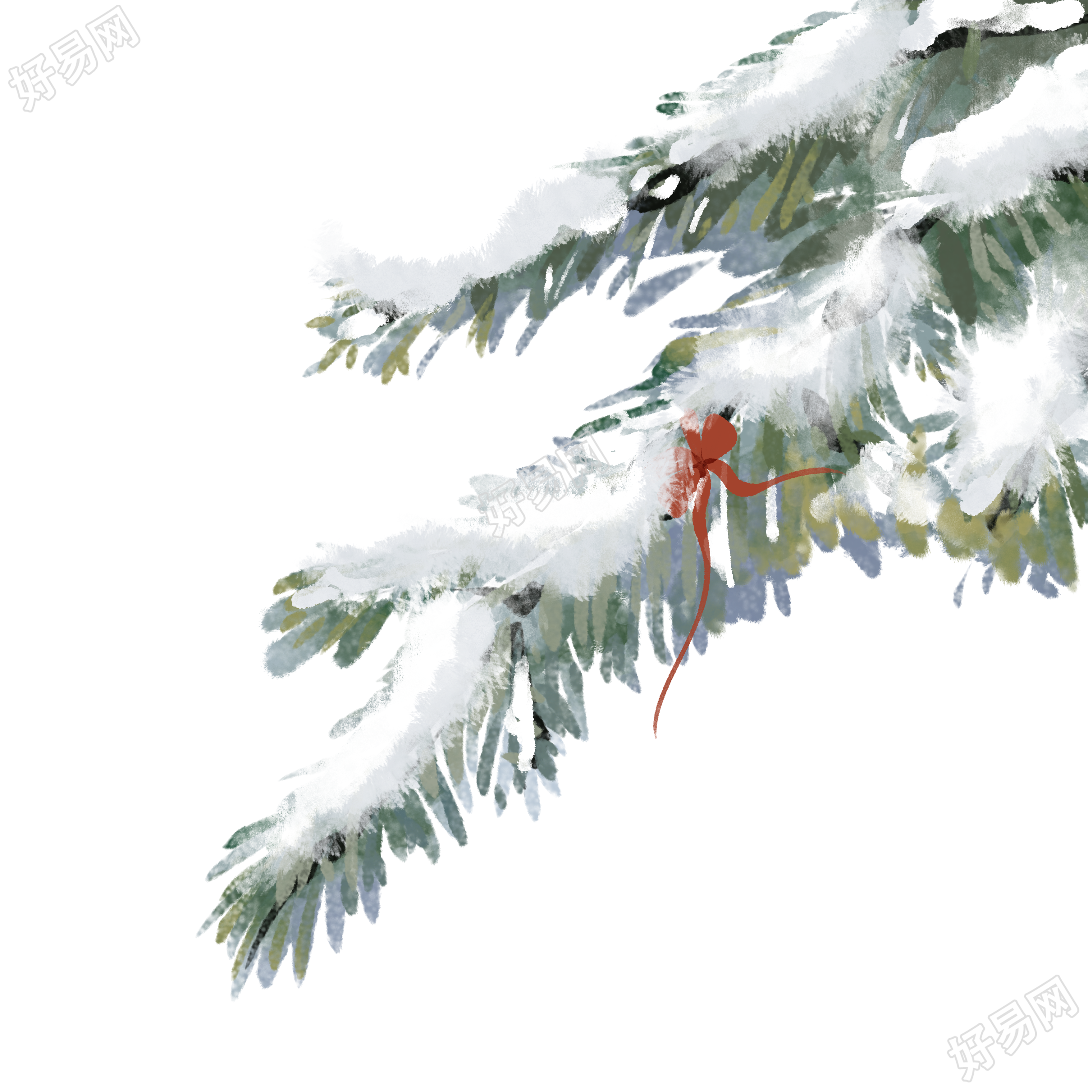 今日大雪被雪覆盖的松枝手绘插画