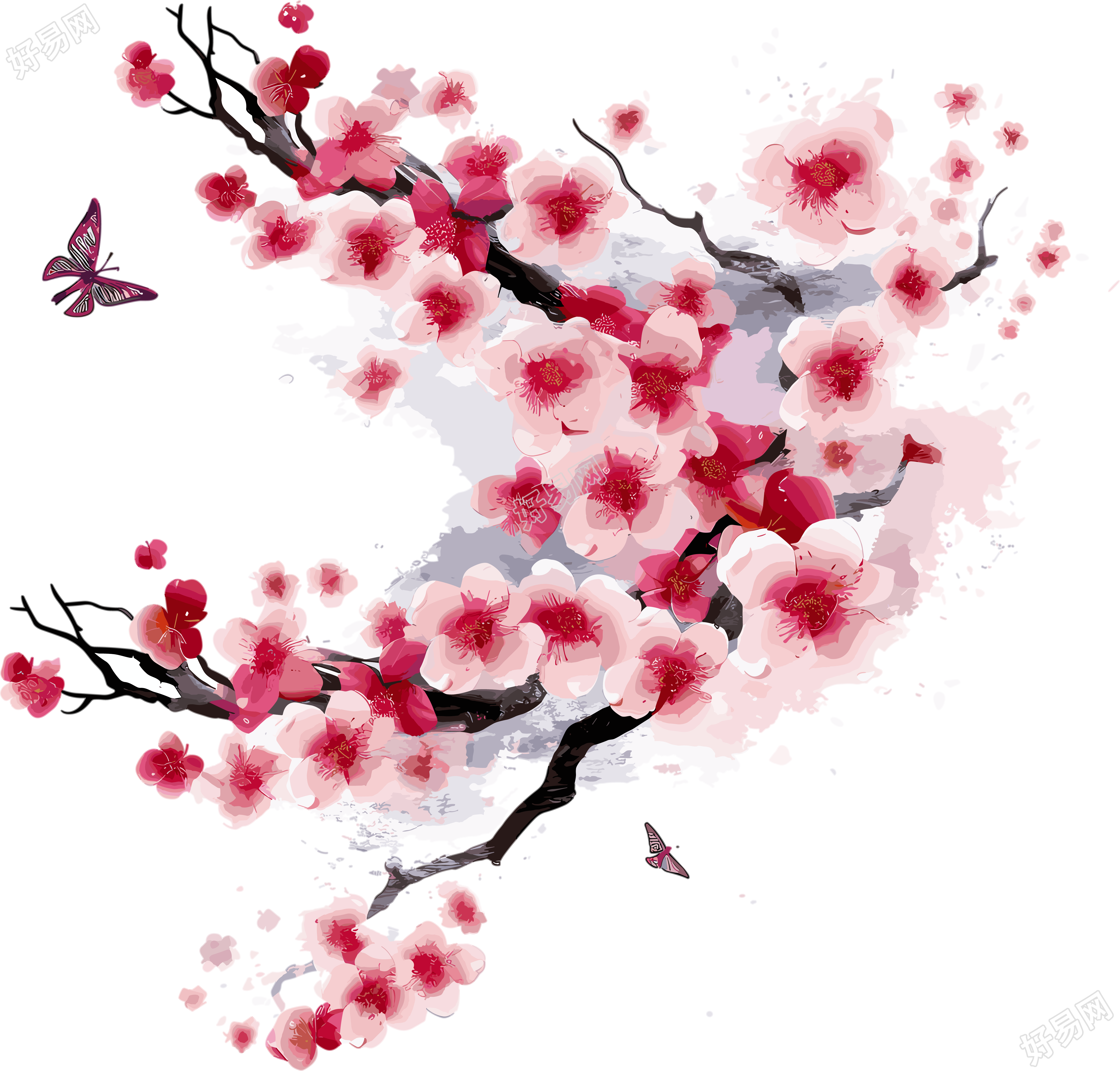 梅花插画素材