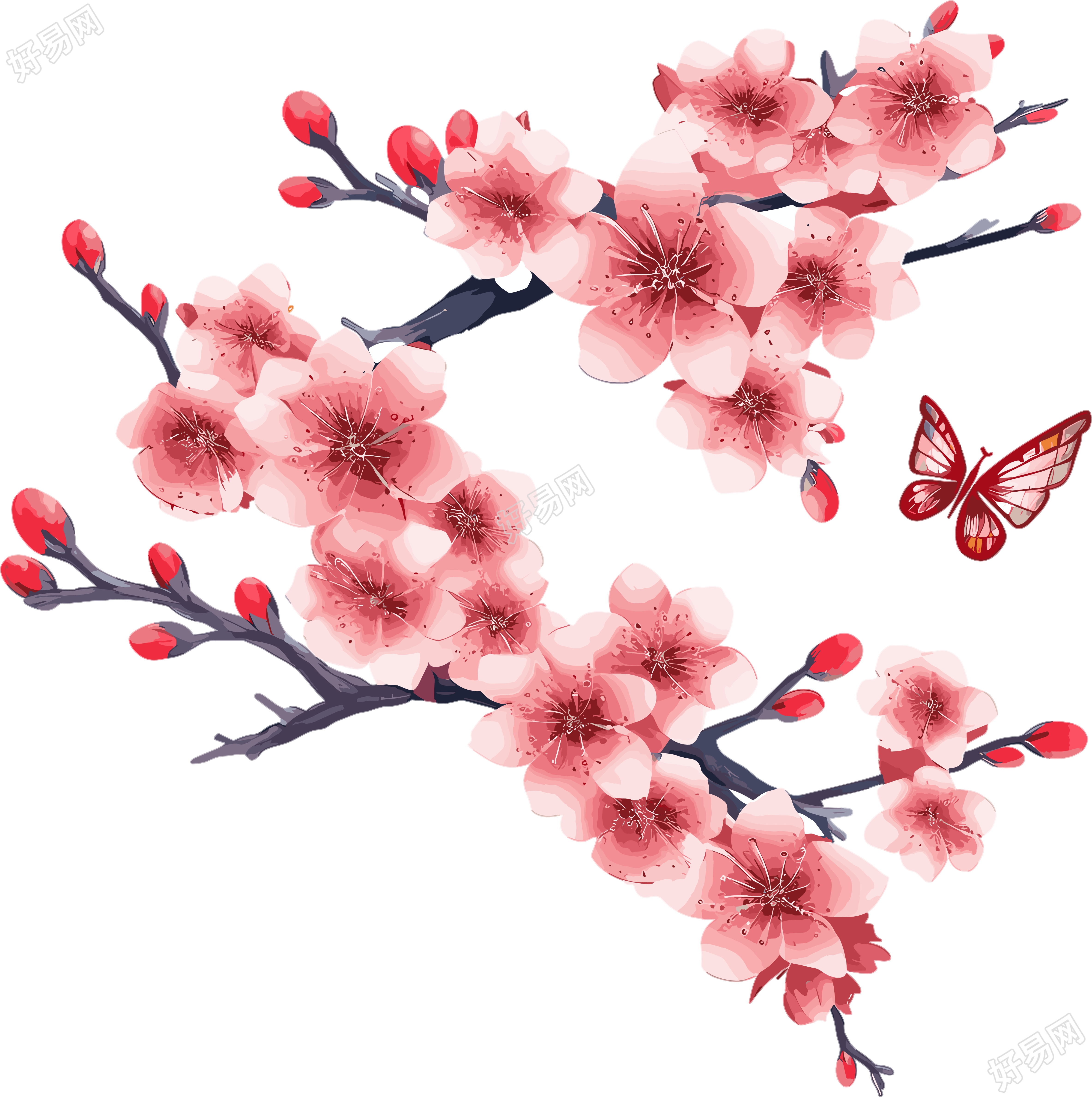 中国风梅花插画素材计划