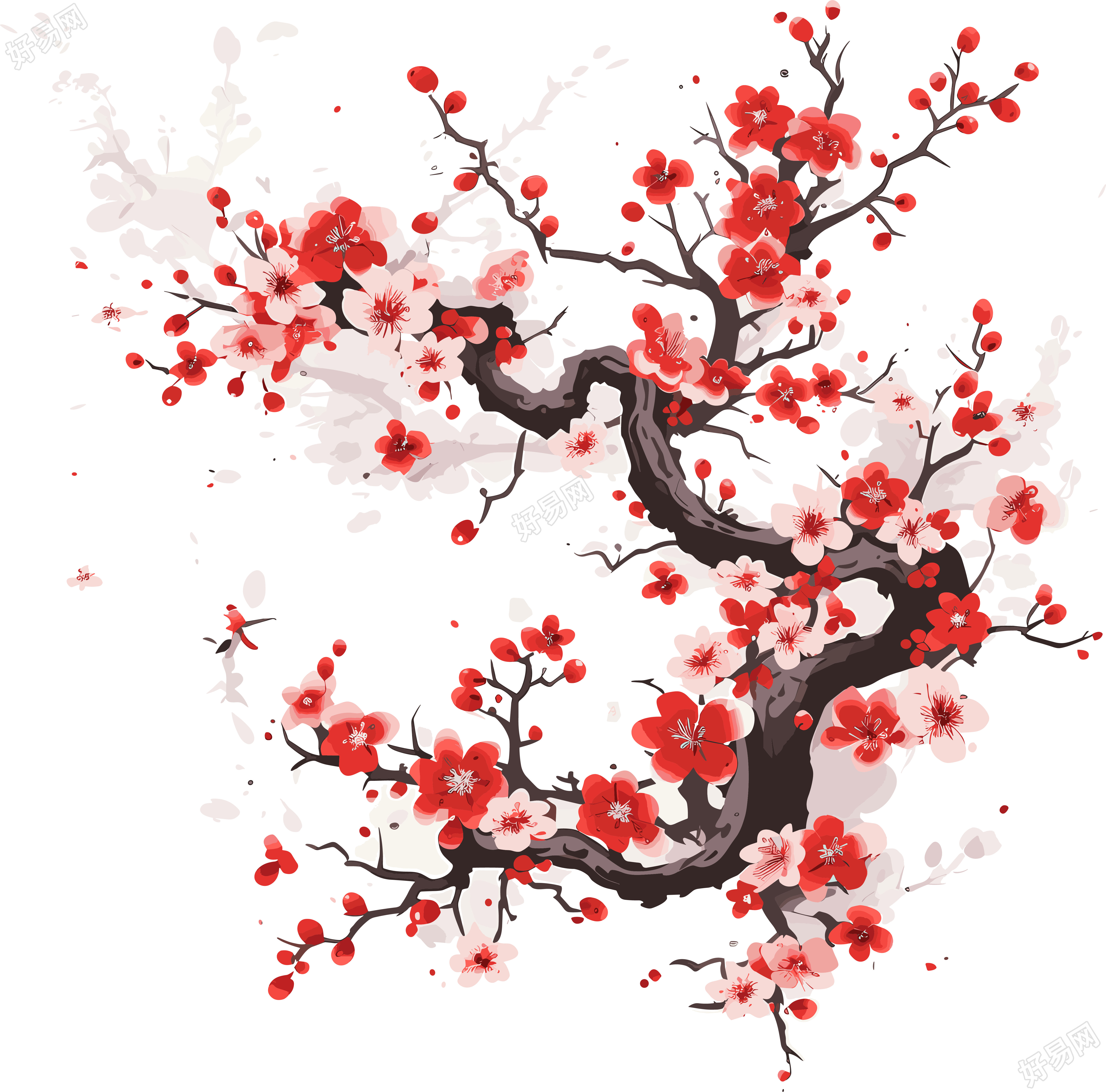 梅花插图计划