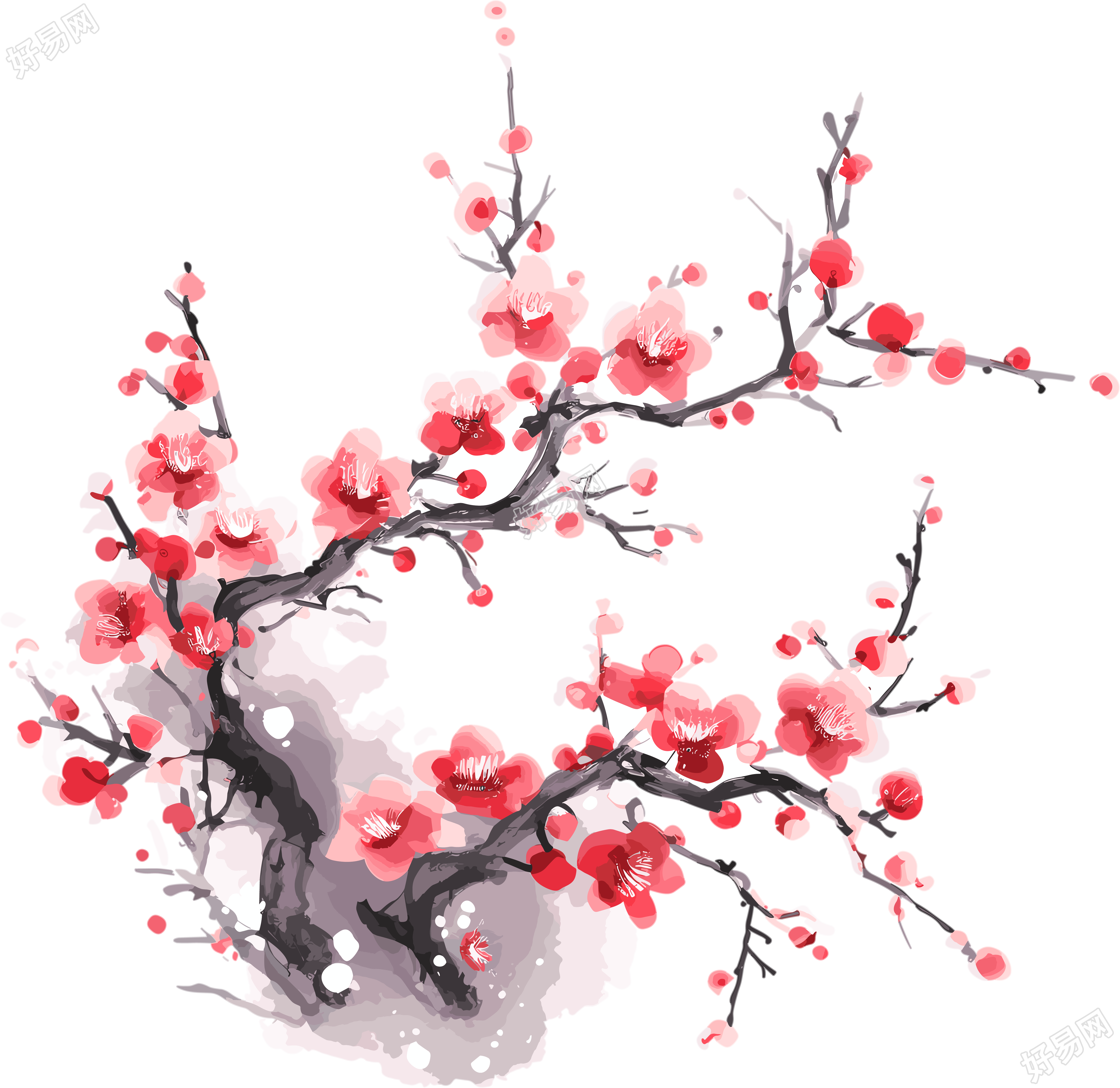 梅花插图计划
