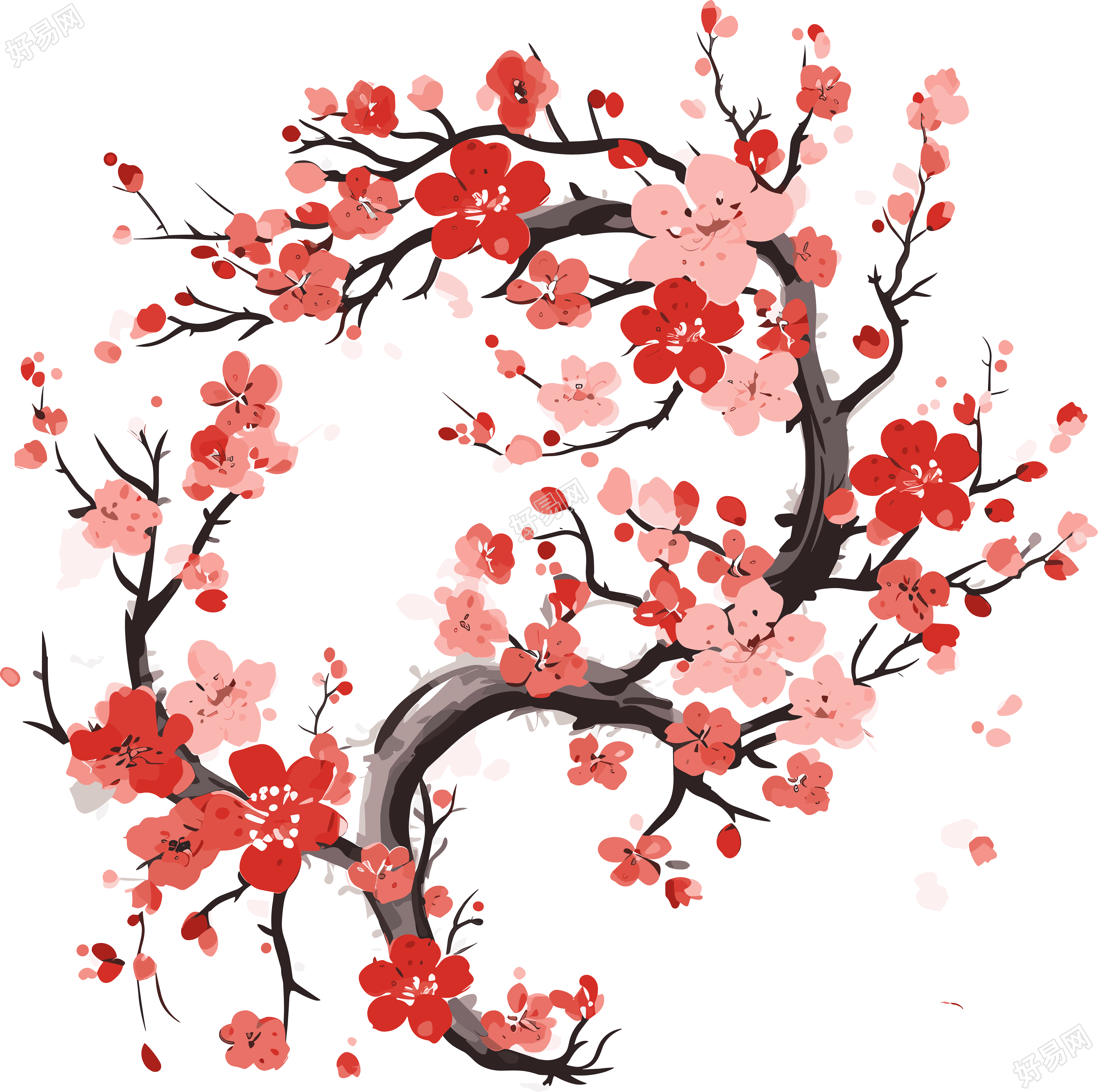 白底国风梅花插画设计
