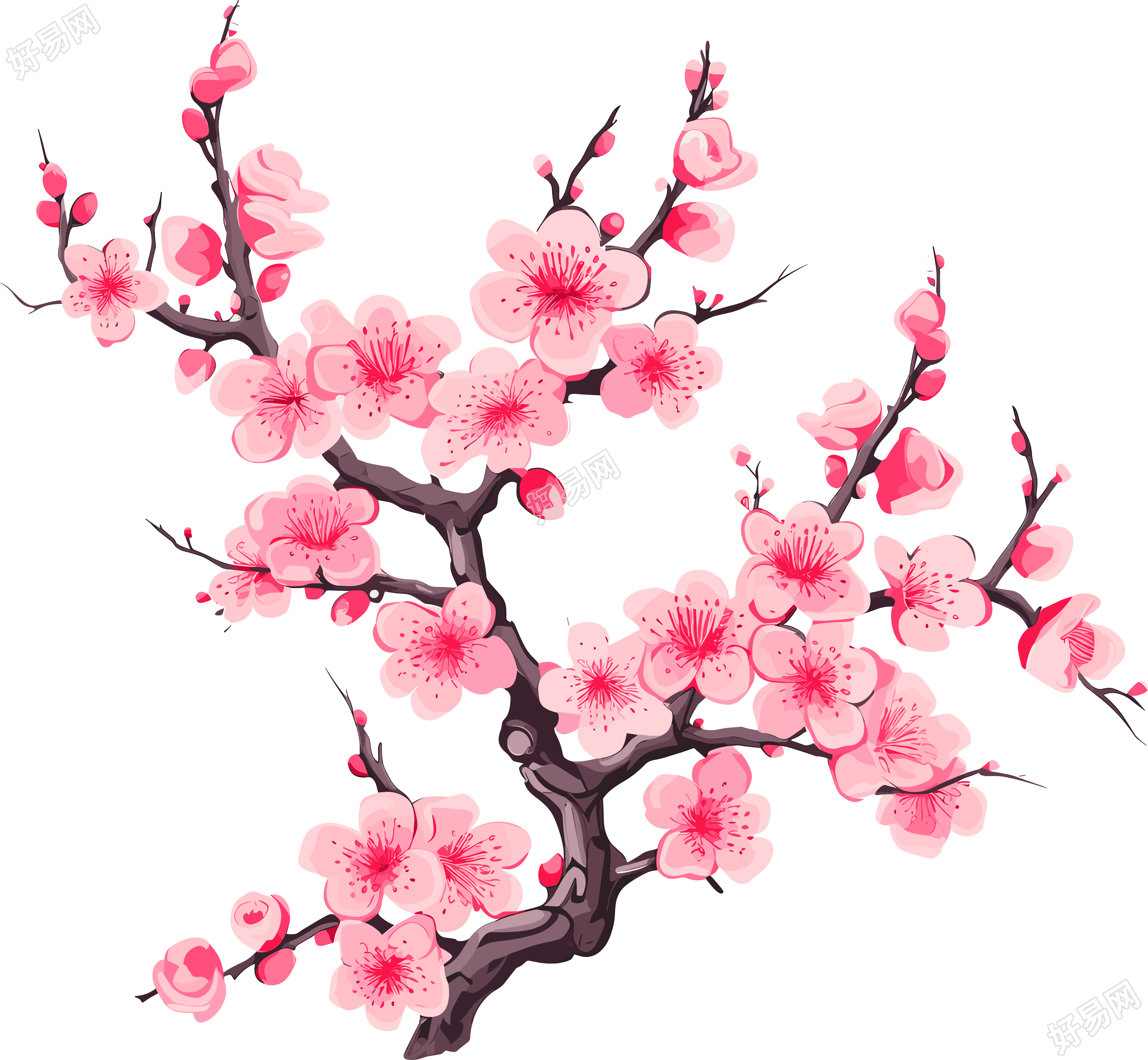 梅花插画计划