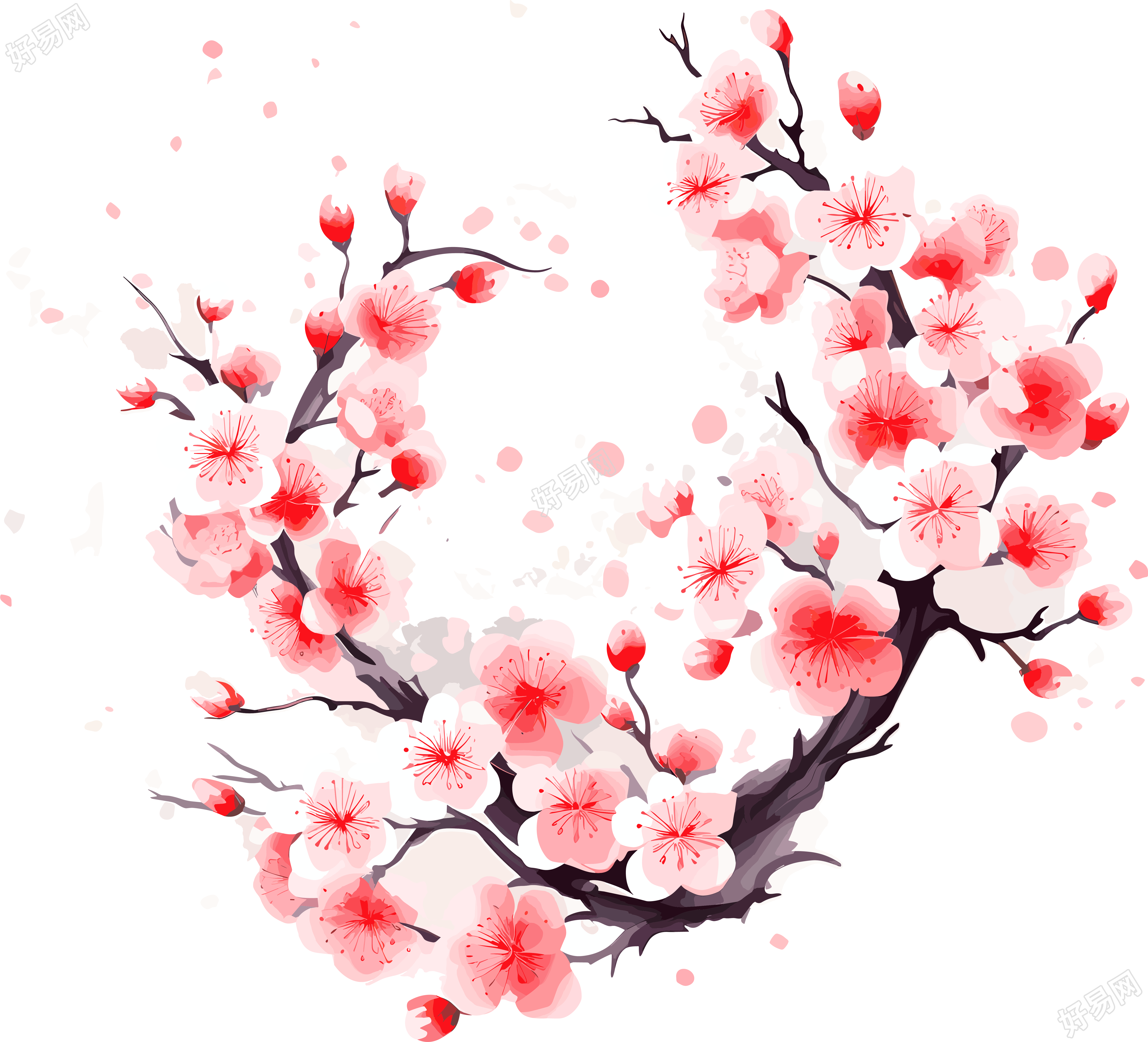 梅花插图计划