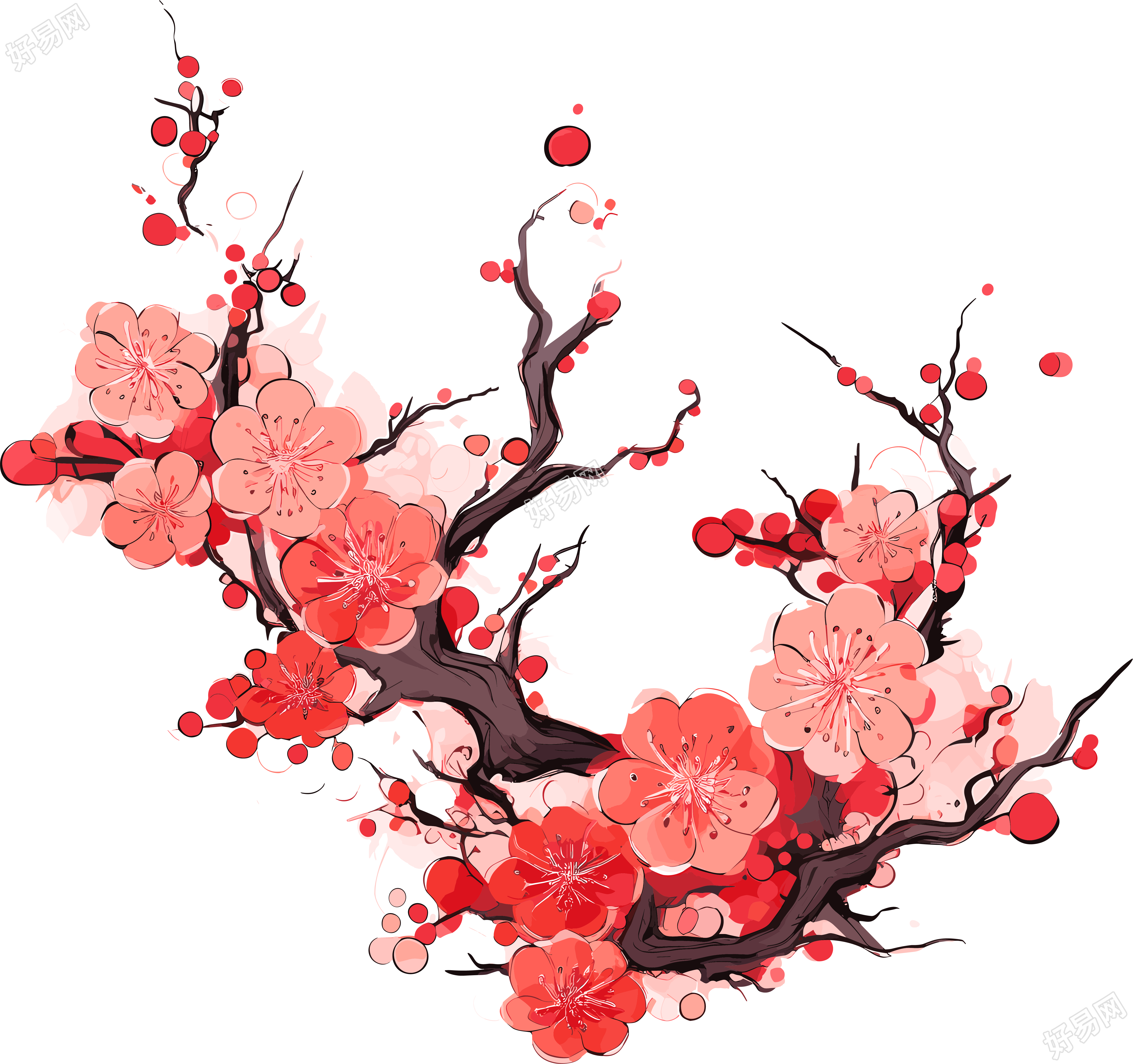 白底中国风梅花插图设计