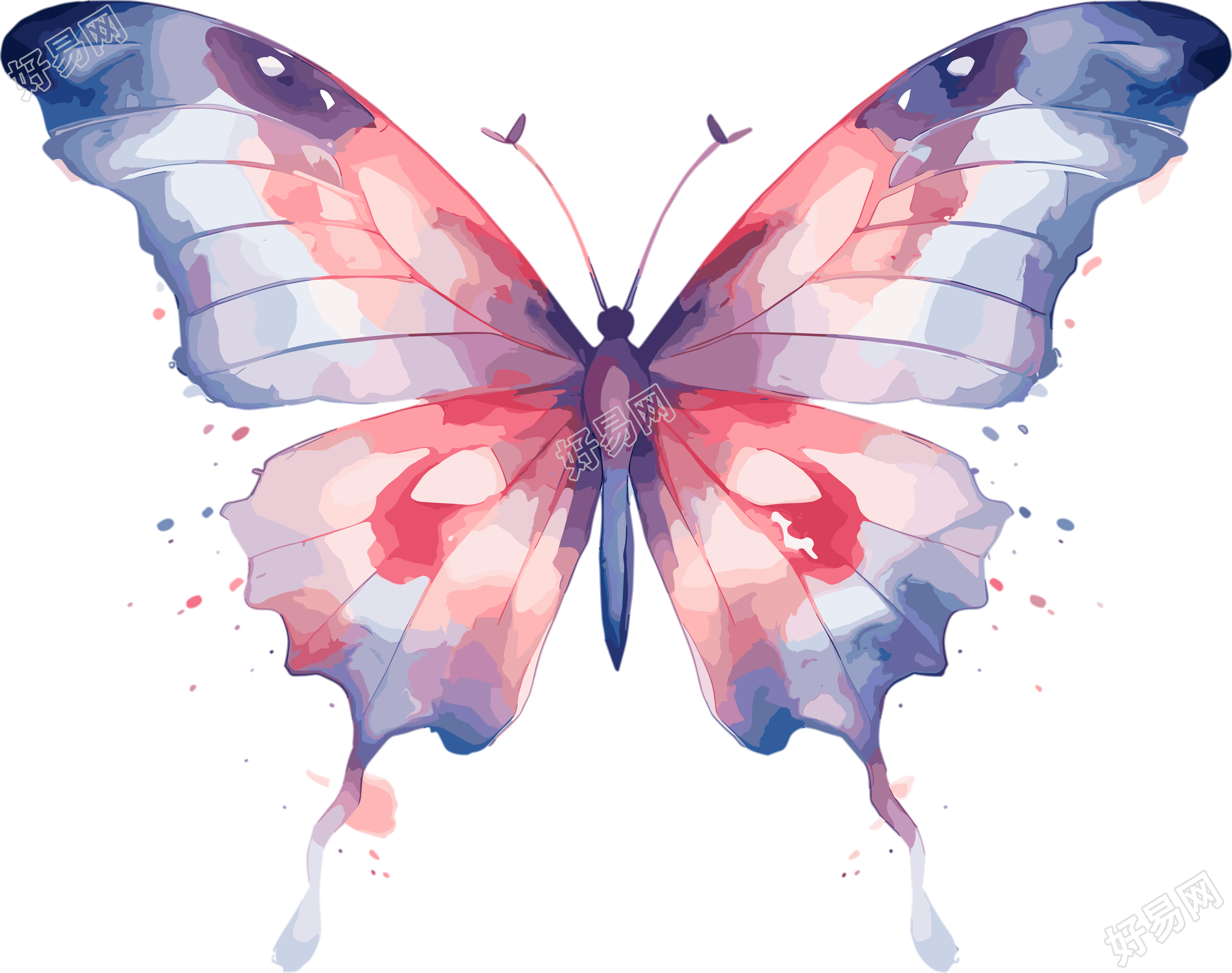 水彩波西米亚极简插画设计素材