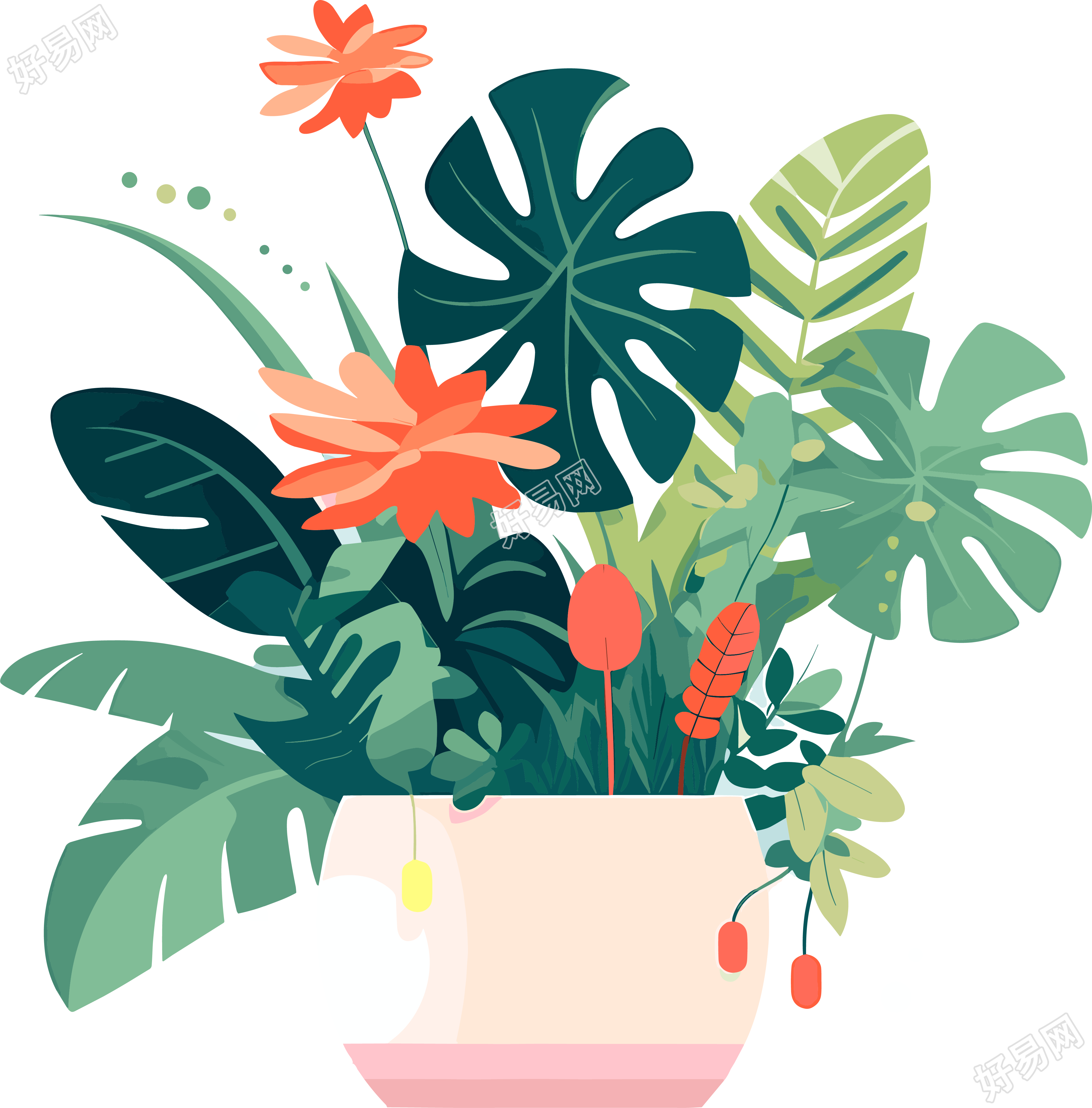植物收藏风格的插画设计