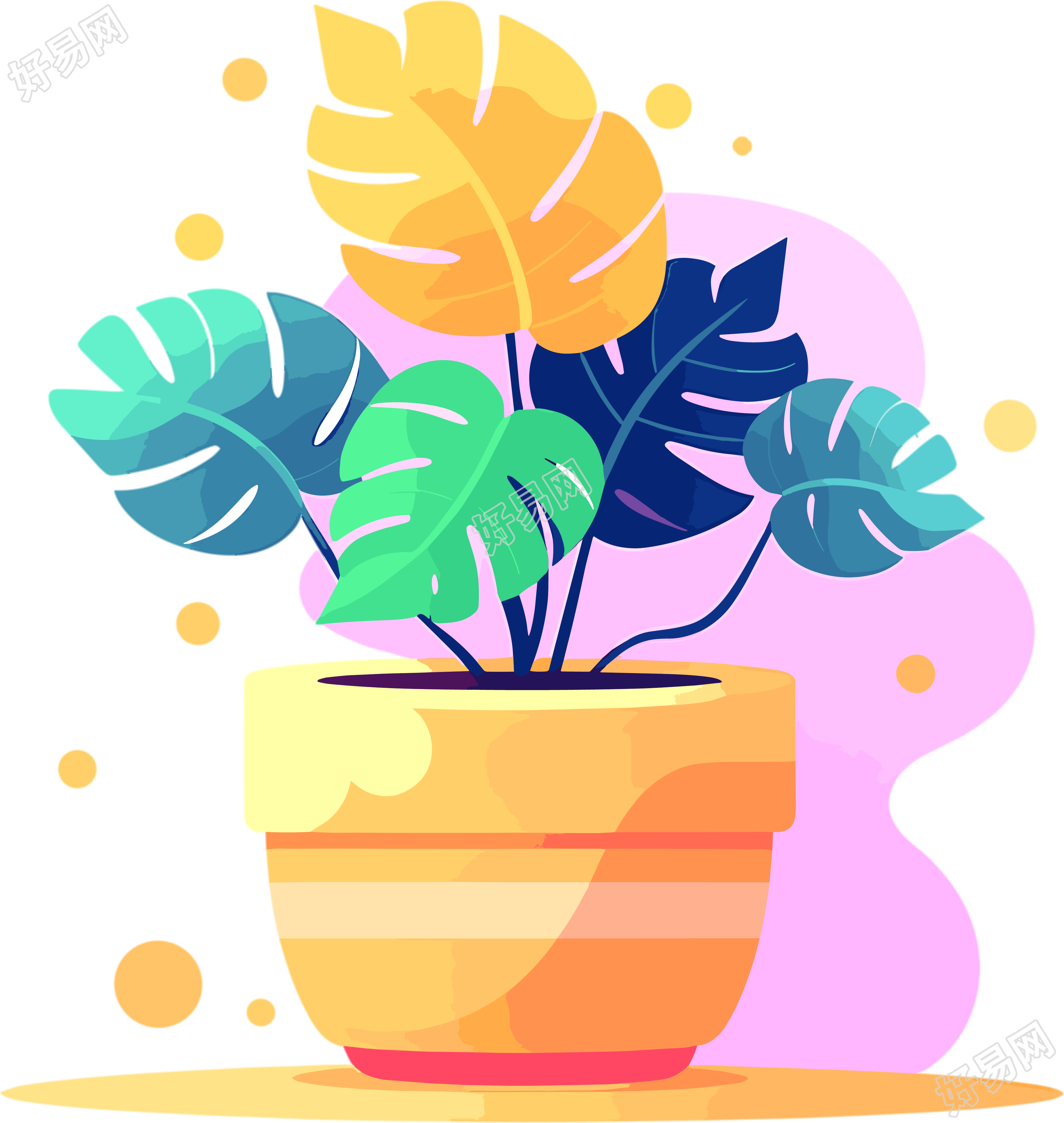 植物收藏风格的插图设计