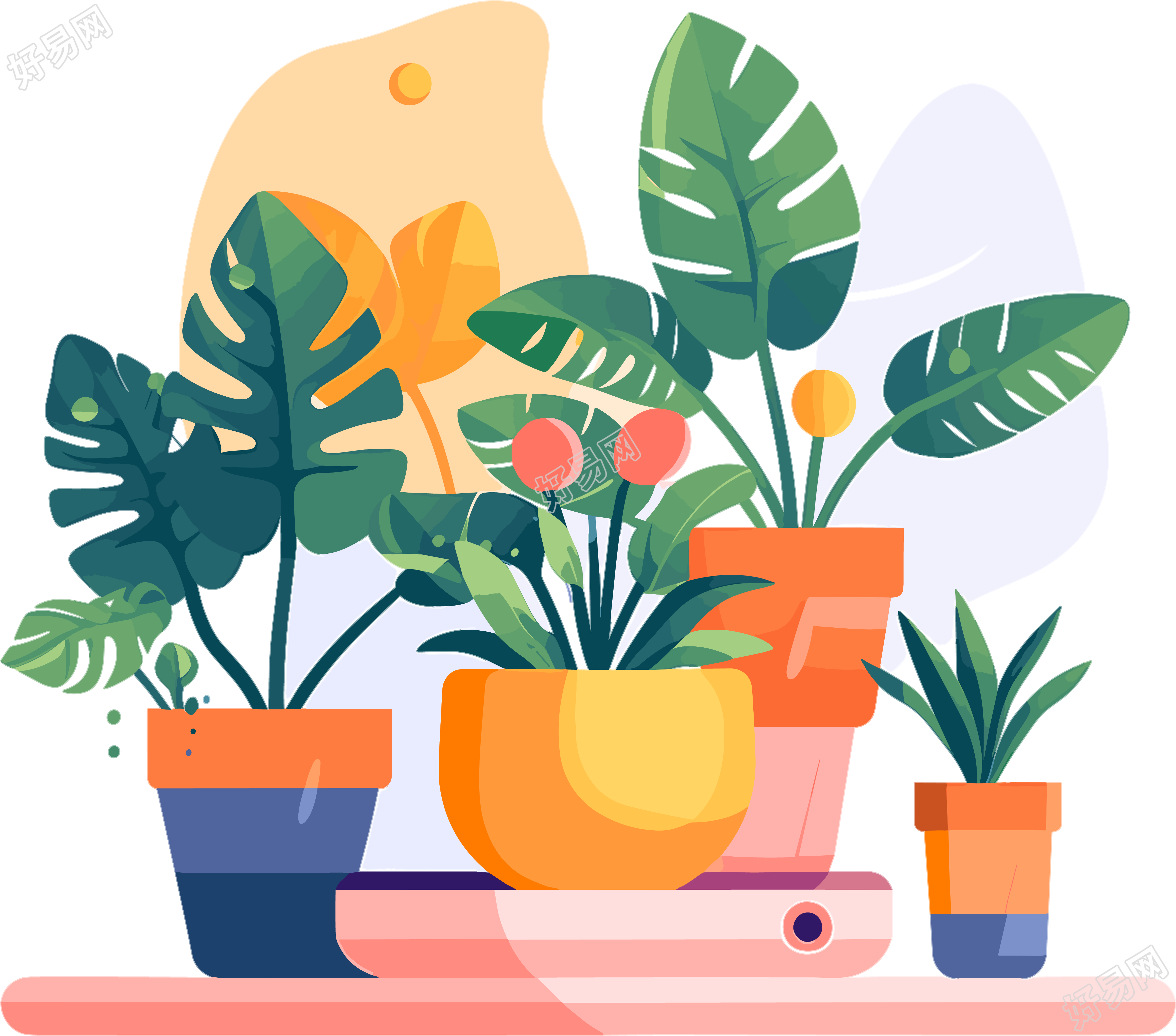 植物收藏风格的扁平插画盆栽
