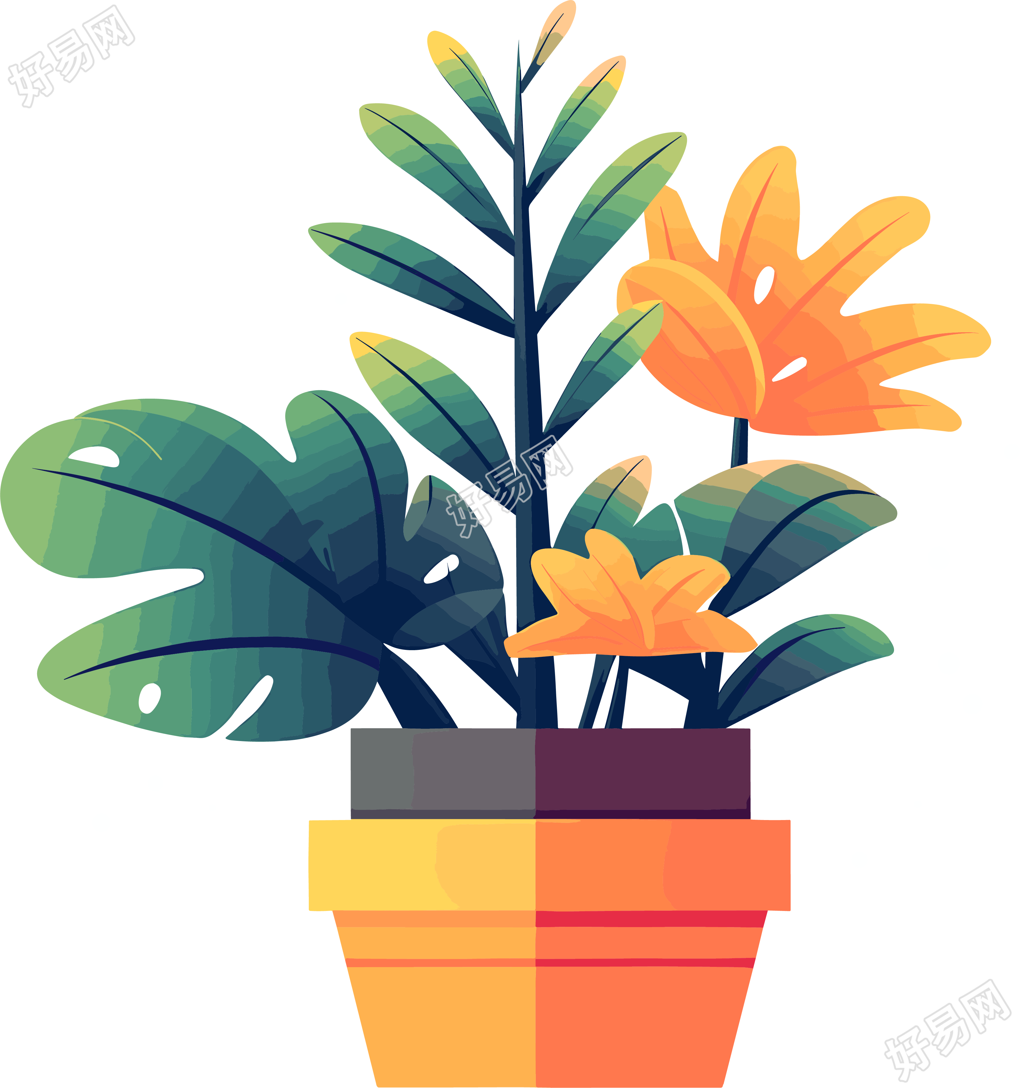 植物收藏风格的平面插图-高清PNG图形素材