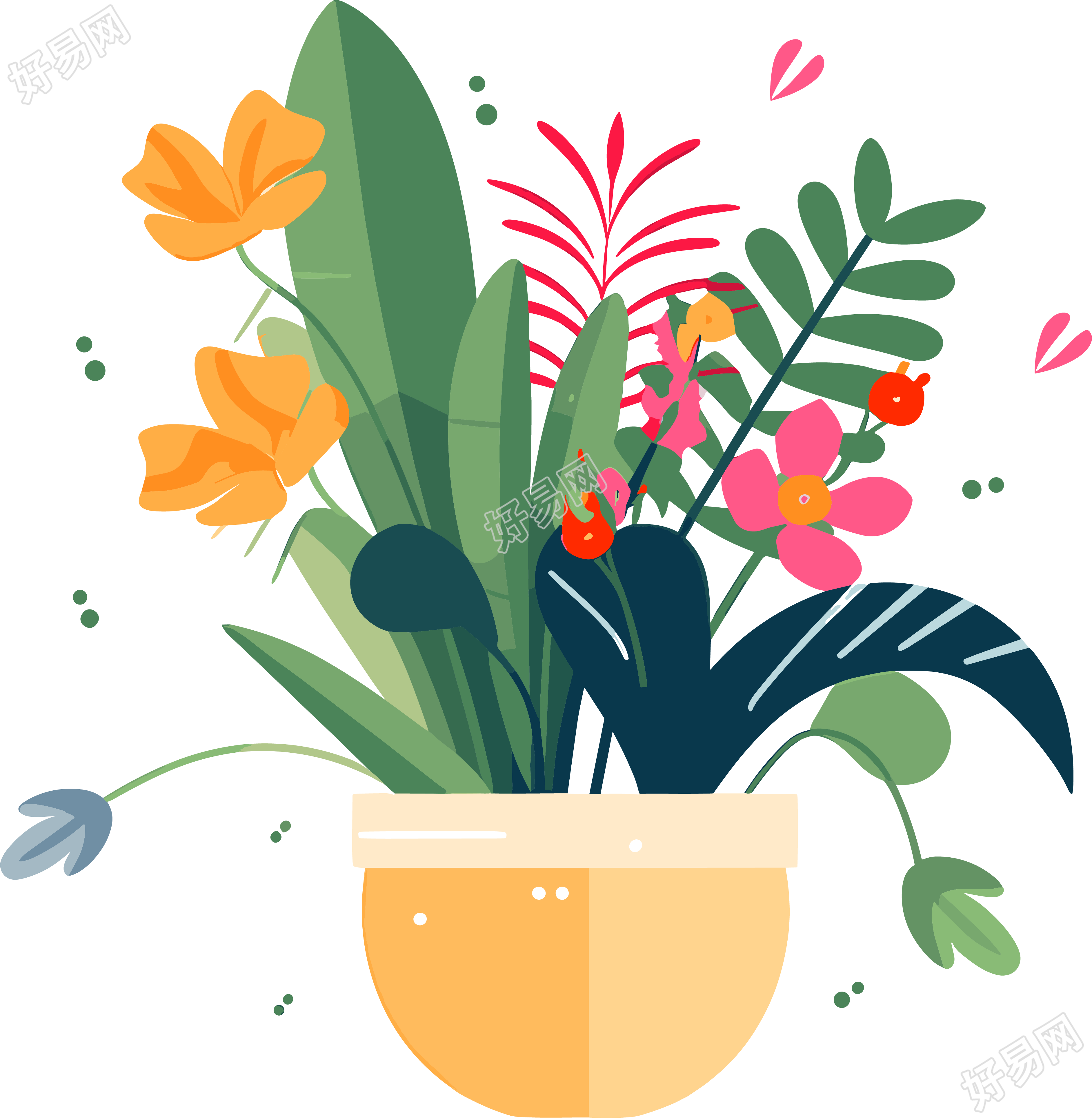 植物收藏风格的扁平插画