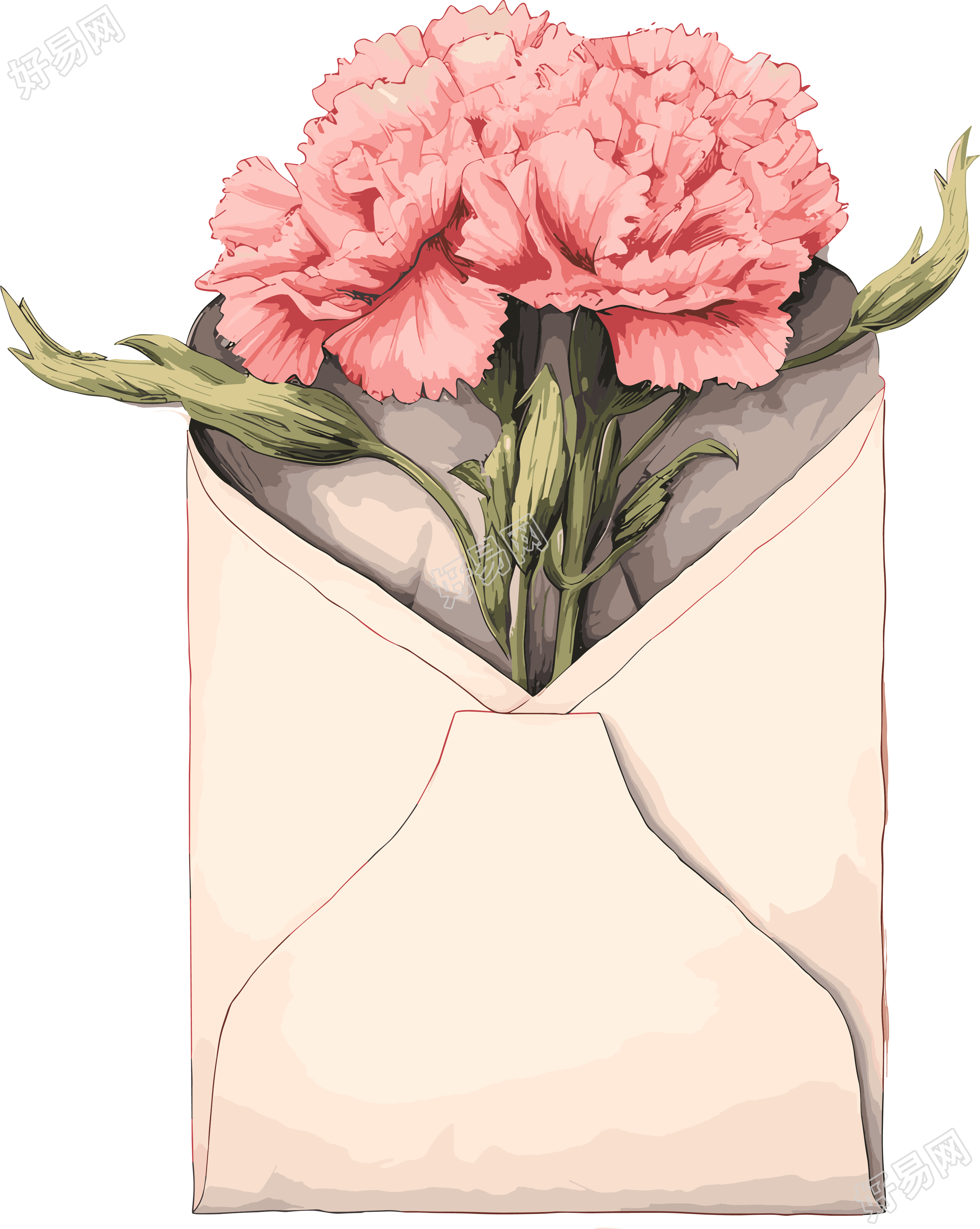 粉色康乃馨花束插画