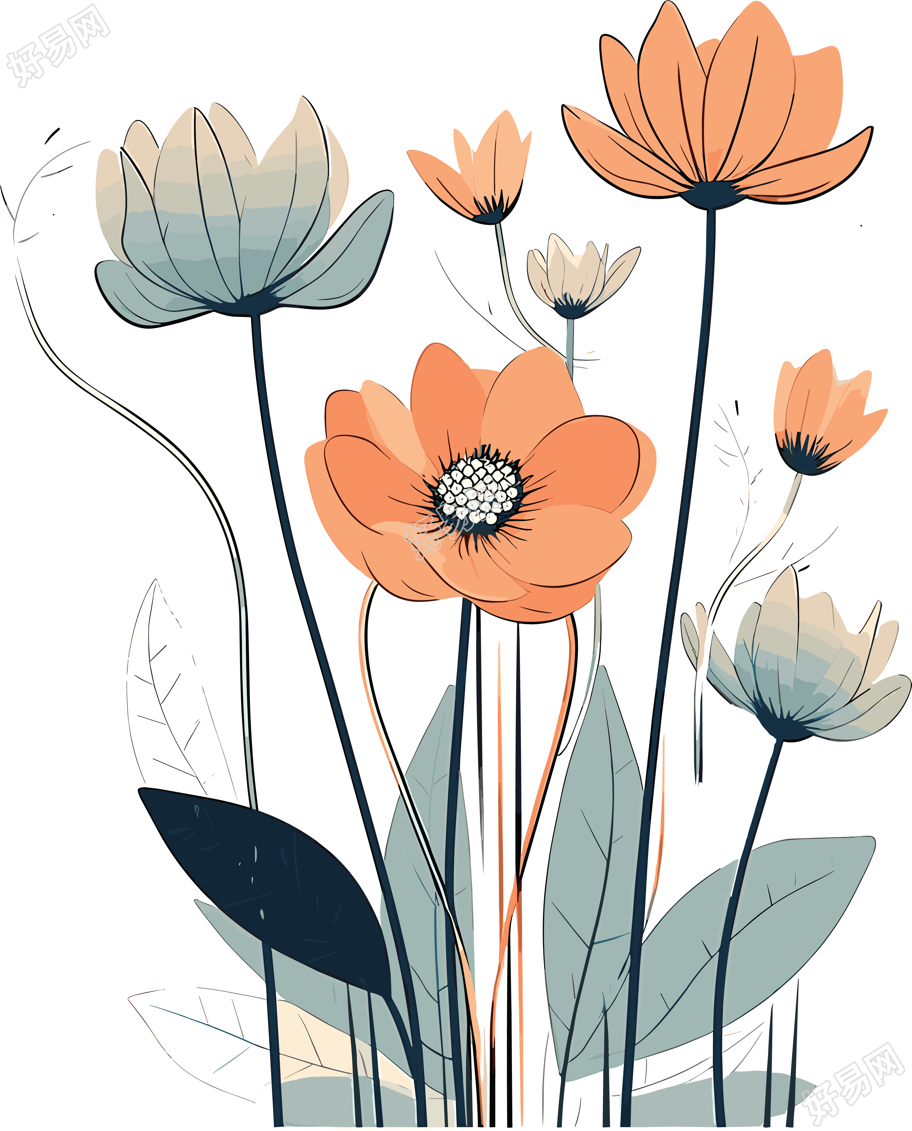 花朵插画素材