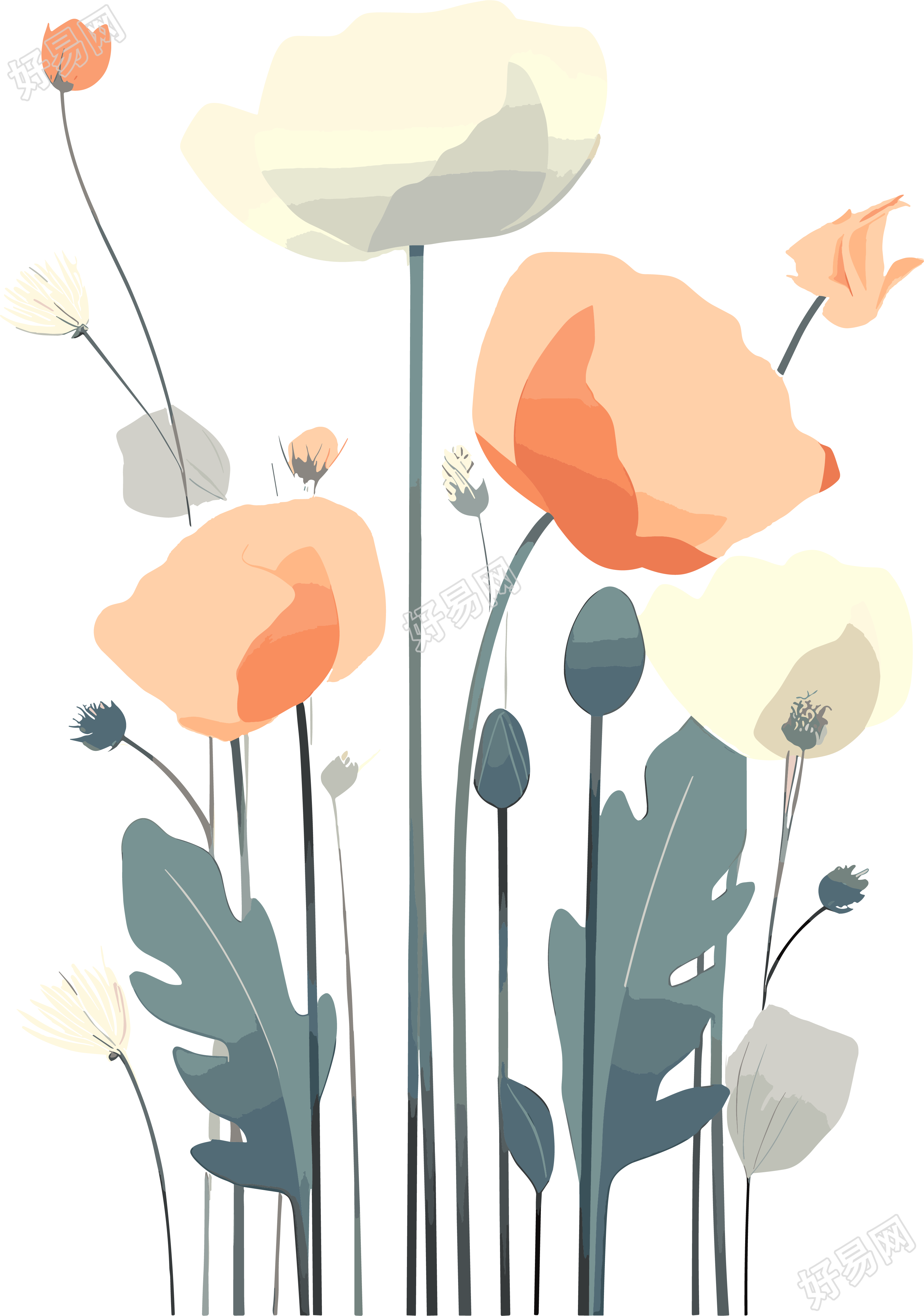 花卉插画设计素材