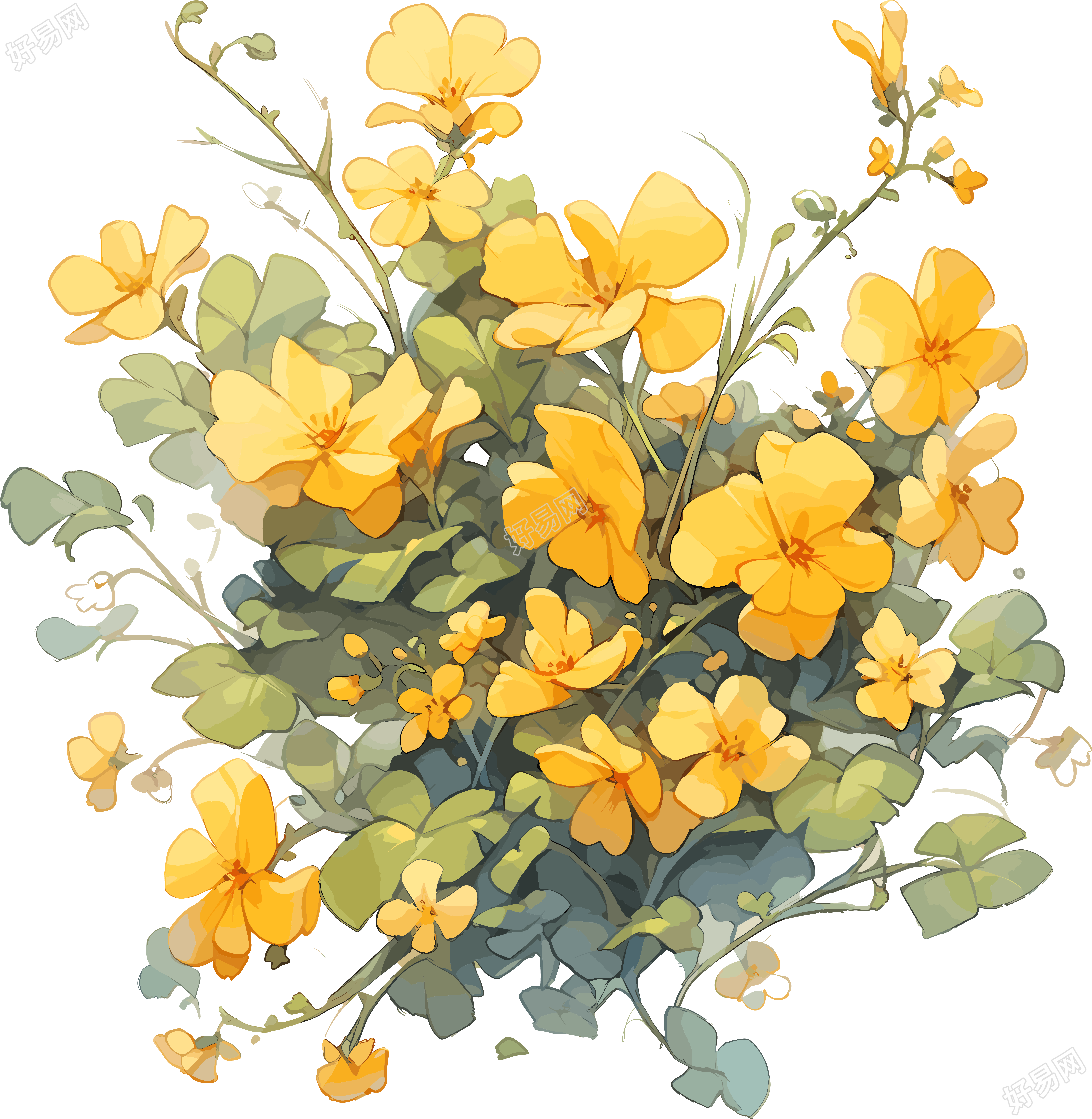 水彩绘画素材黄色花卉与绿色树枝