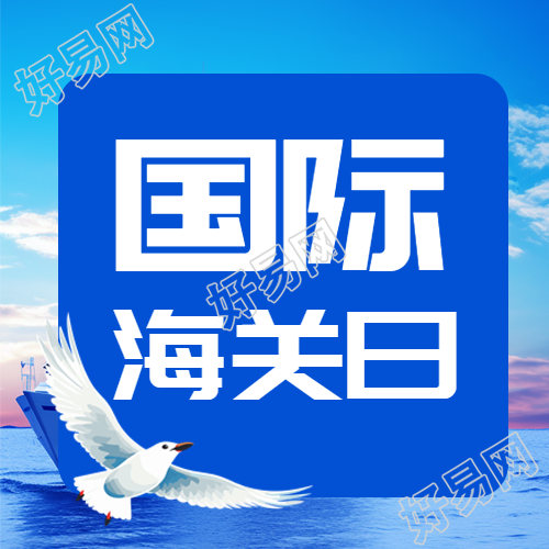 国际海关日蓝色简约微信公众号封面设计
