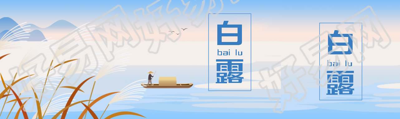 国风白露节气黄色芦苇创意公众号封面图