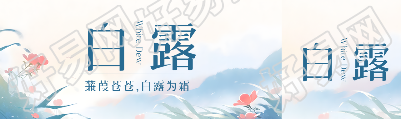 蒹葭苍苍白露为霜二十四节气公众号封面图