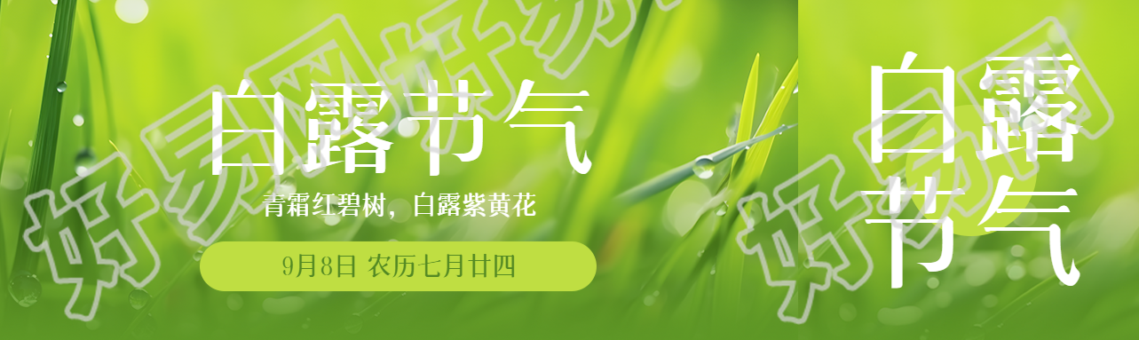 绿色的小草实景白露节气宣传公众号封面图
