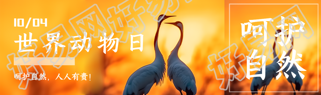 世界动物日呵护自然人人有责公众号封面图