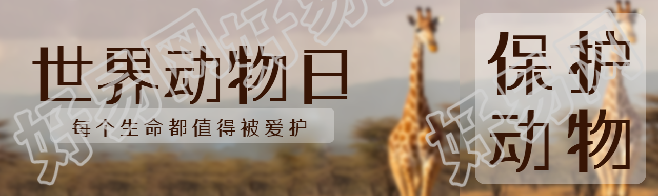 每个生命都值得被爱护世界动物日公众号封面图