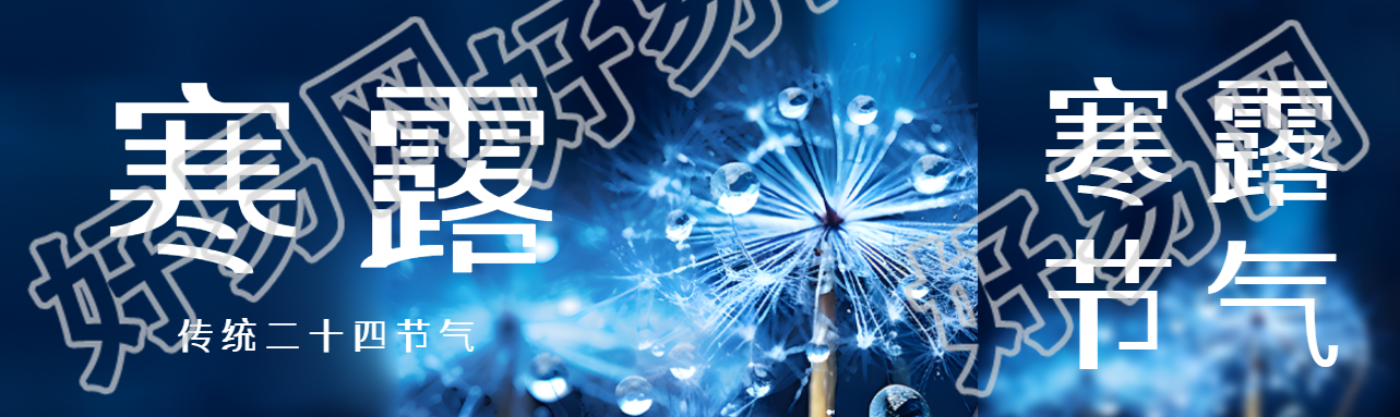 传统二十四节气寒露蒲公英实景公众号封面图
