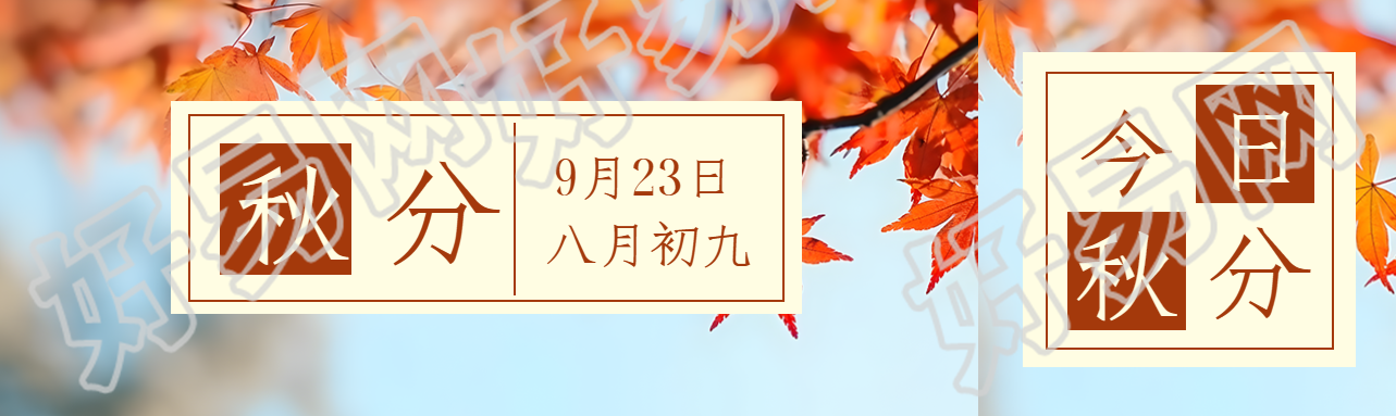 简约高级感二十四节气秋分公众号封面图