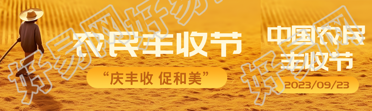 晾晒的麦子实景农民丰收节宣传公众号封面图