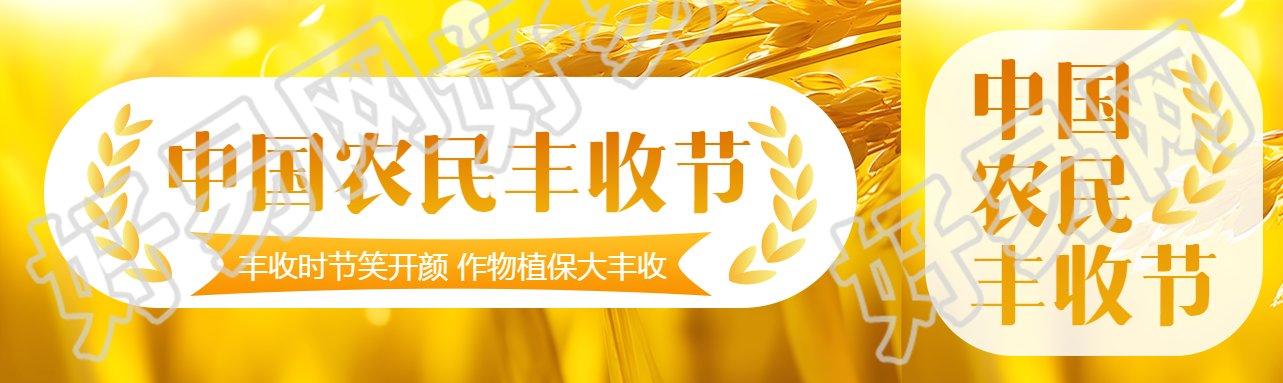 中国农民丰收节金黄色小麦大丰收公众号封面图