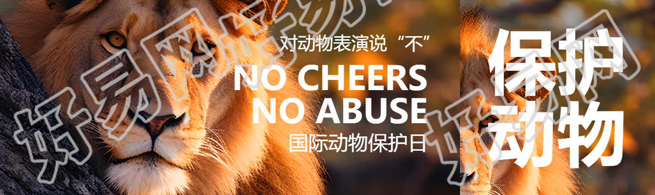 森林中的狮子实景世界动物日宣传公众号封面图
