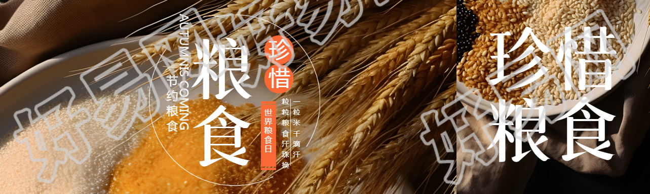 世界粮食日珍惜粮食从我做起公众号封面图