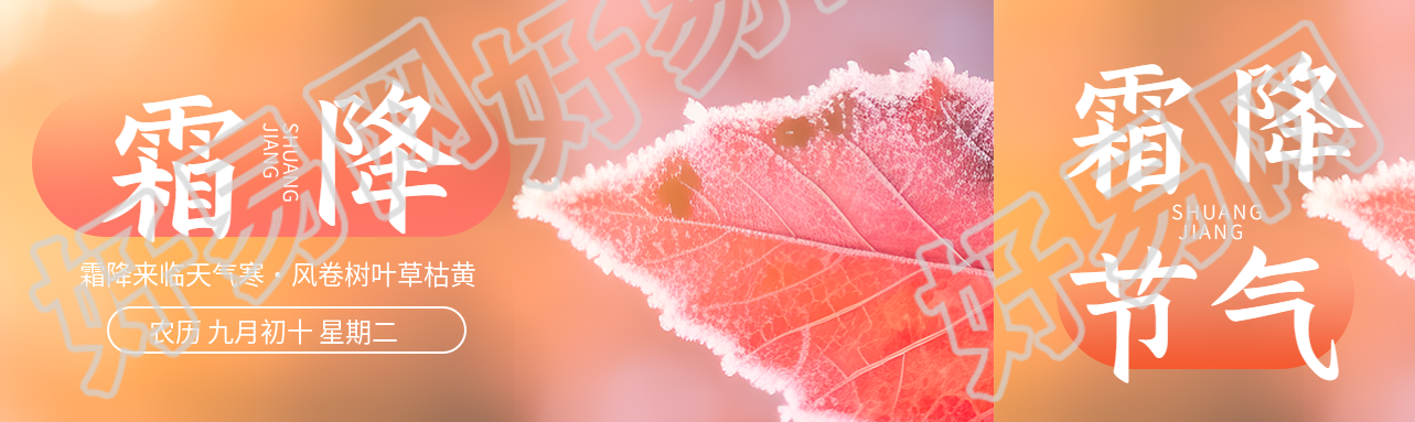 秋季的最后一个节气霜降实景公众号封面图