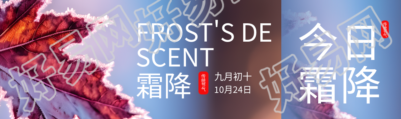 九月初十霜降时节落叶实景公众号封面图