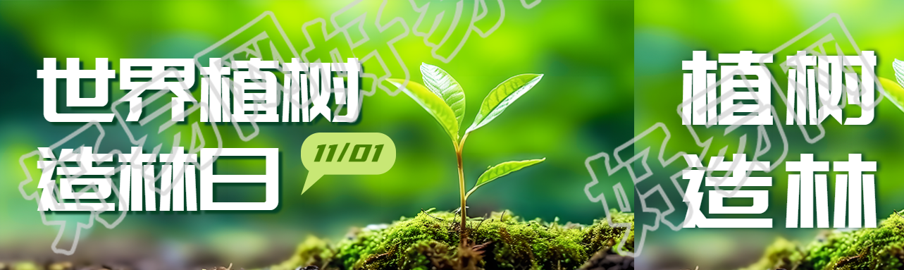 茁壮成长的小树苗世界植树造林日公众号封面图