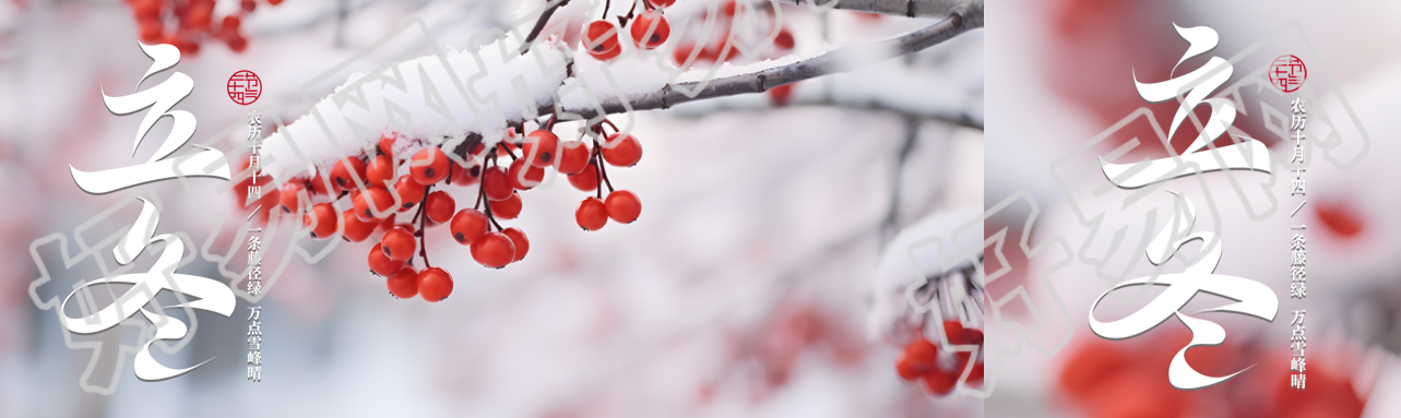 立冬节气雪景中的红浆果实景公众号封面图