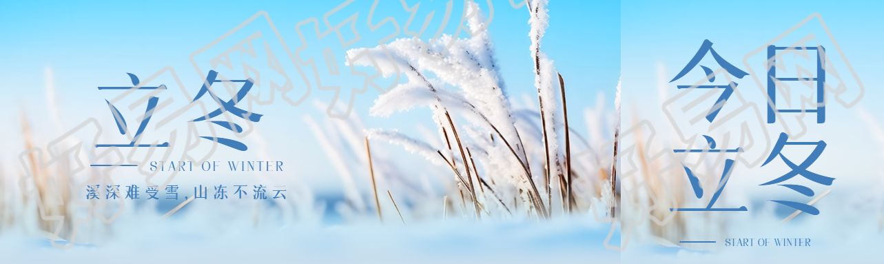 二十四节气立冬雪中芦苇美景公众号封面图