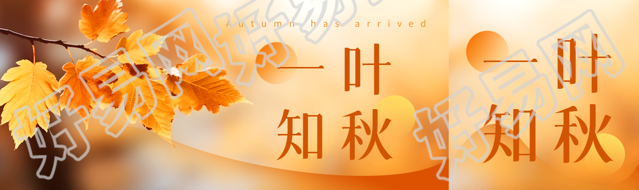 弥散风一叶知秋黄色树叶实景公众号封面图