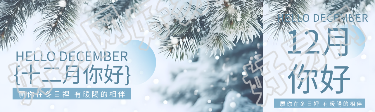 十二月你好唯美雪松实景公众号封面图